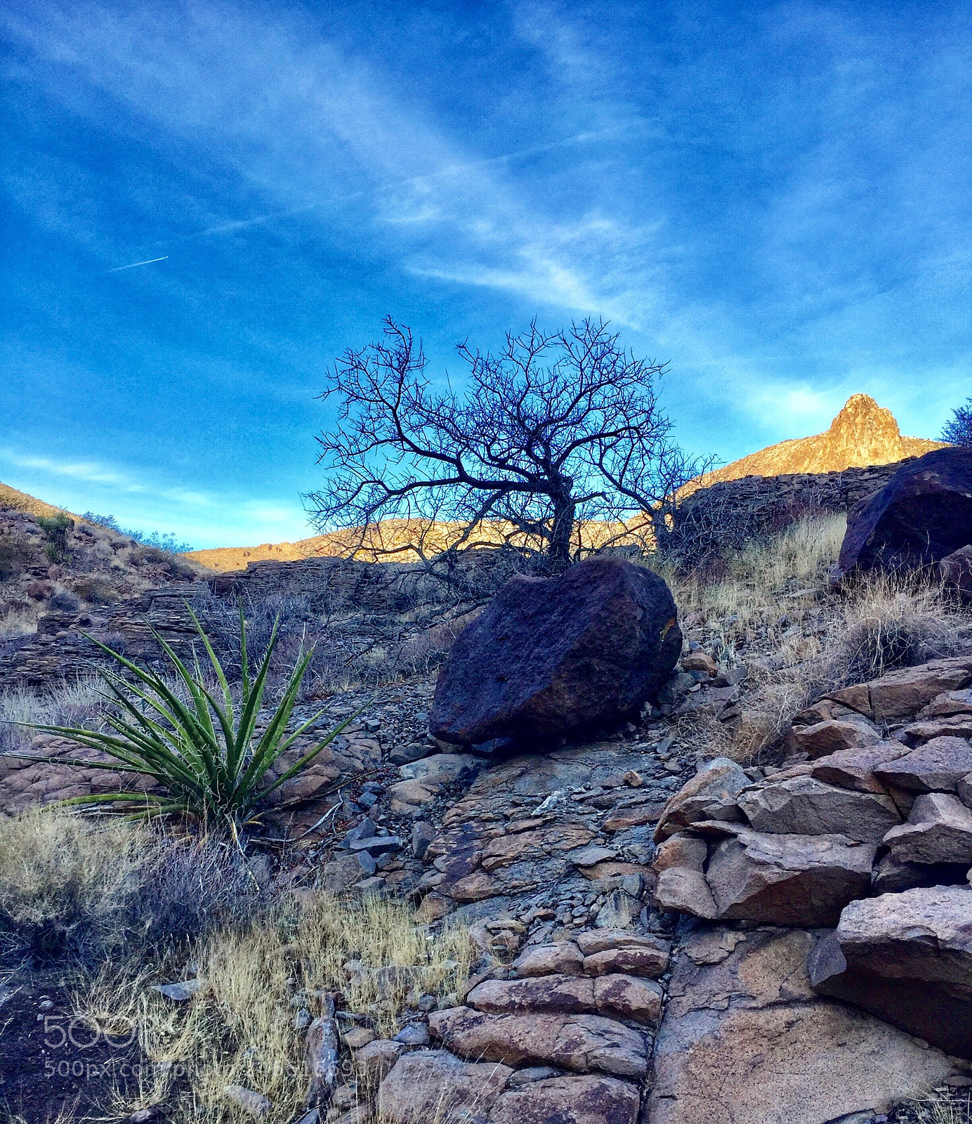 Apple iPhone 6 sample photo. Chasing blue sky photography