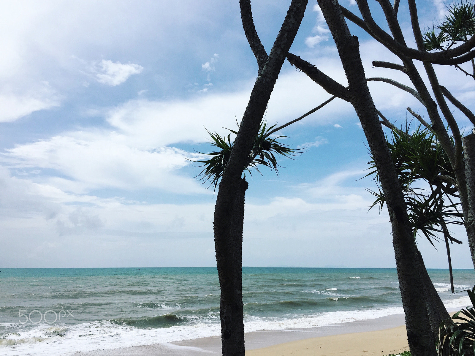 Apple iPhone 6 sample photo. This view - near photography