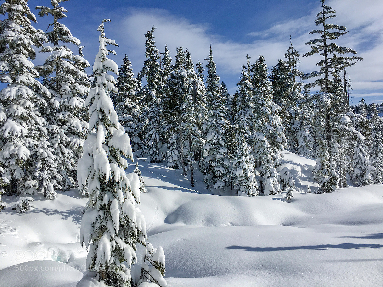 Apple iPhone 6s sample photo. Mount washington alpine ski photography