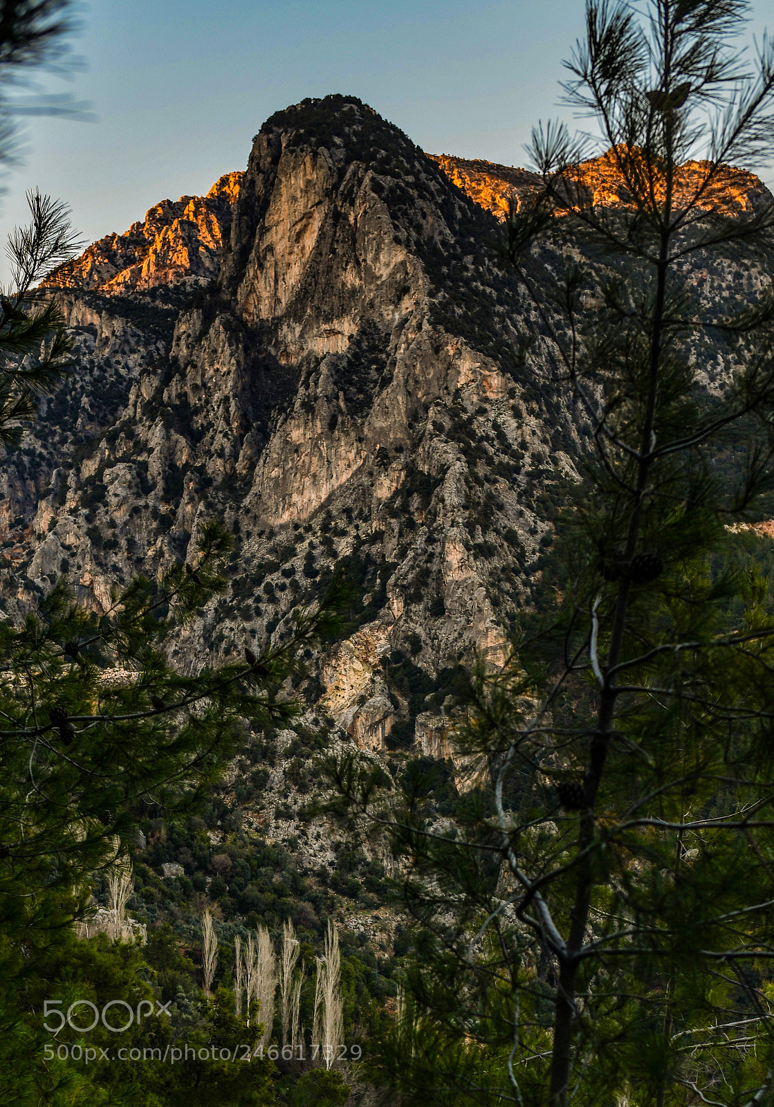 Nikon D850 sample photo. The wise man photography