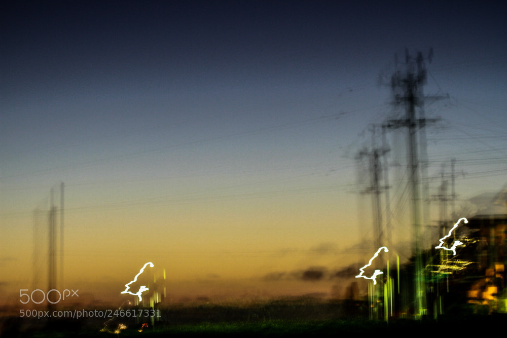 Canon EOS 7D sample photo. A layered moment photography