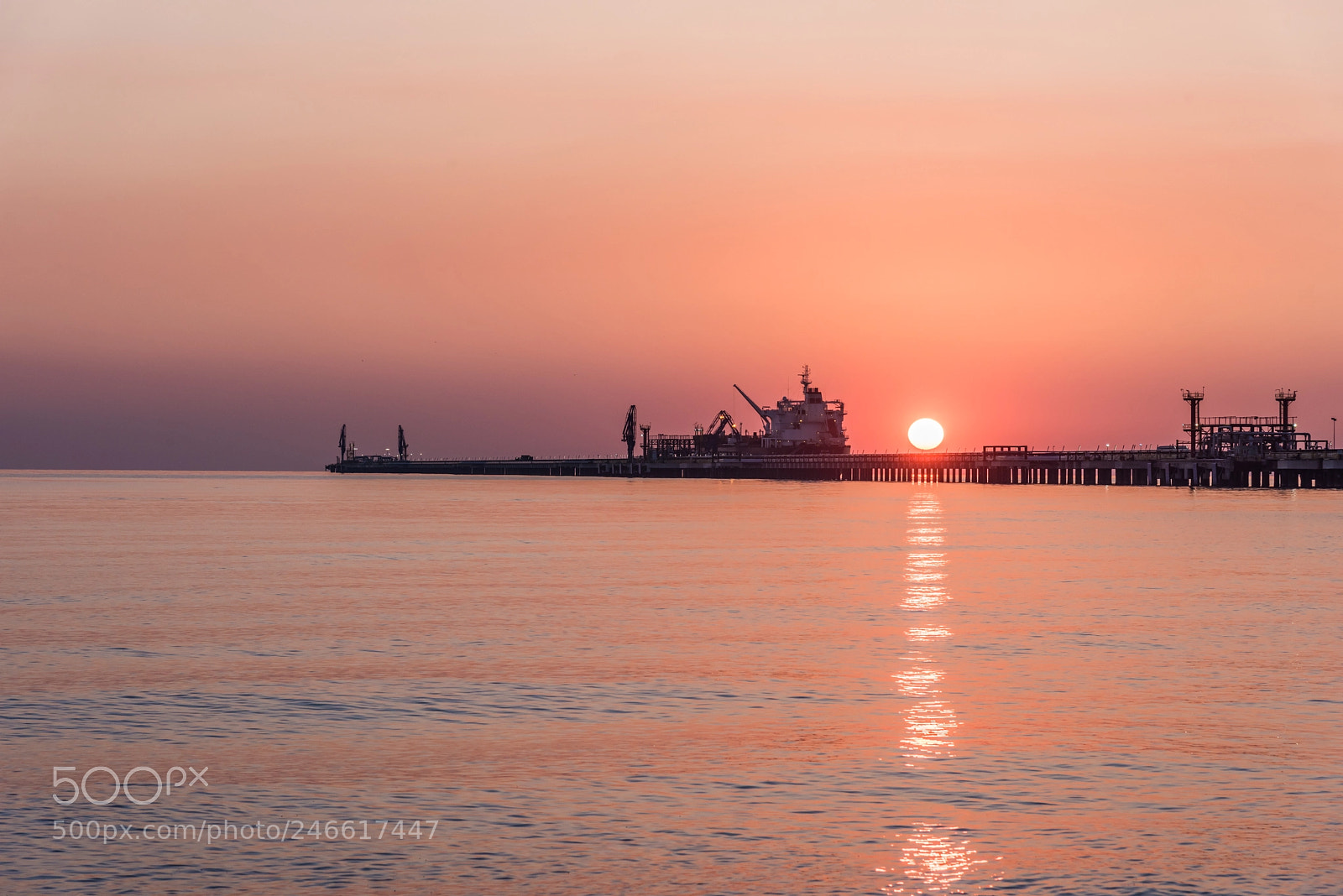 Nikon D810 sample photo. Port... photography