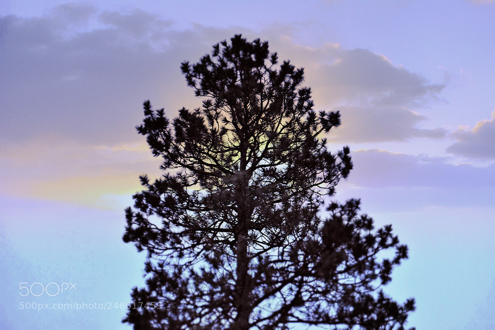 Nikon D3400 sample photo. Sometimes the colors in photography