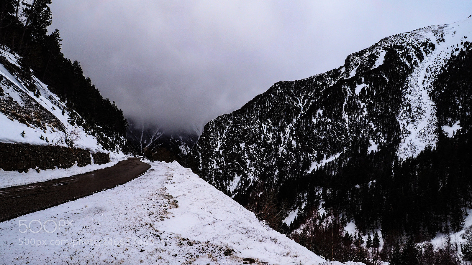 Olympus OM-D E-M10 sample photo. Silence in the snow. photography