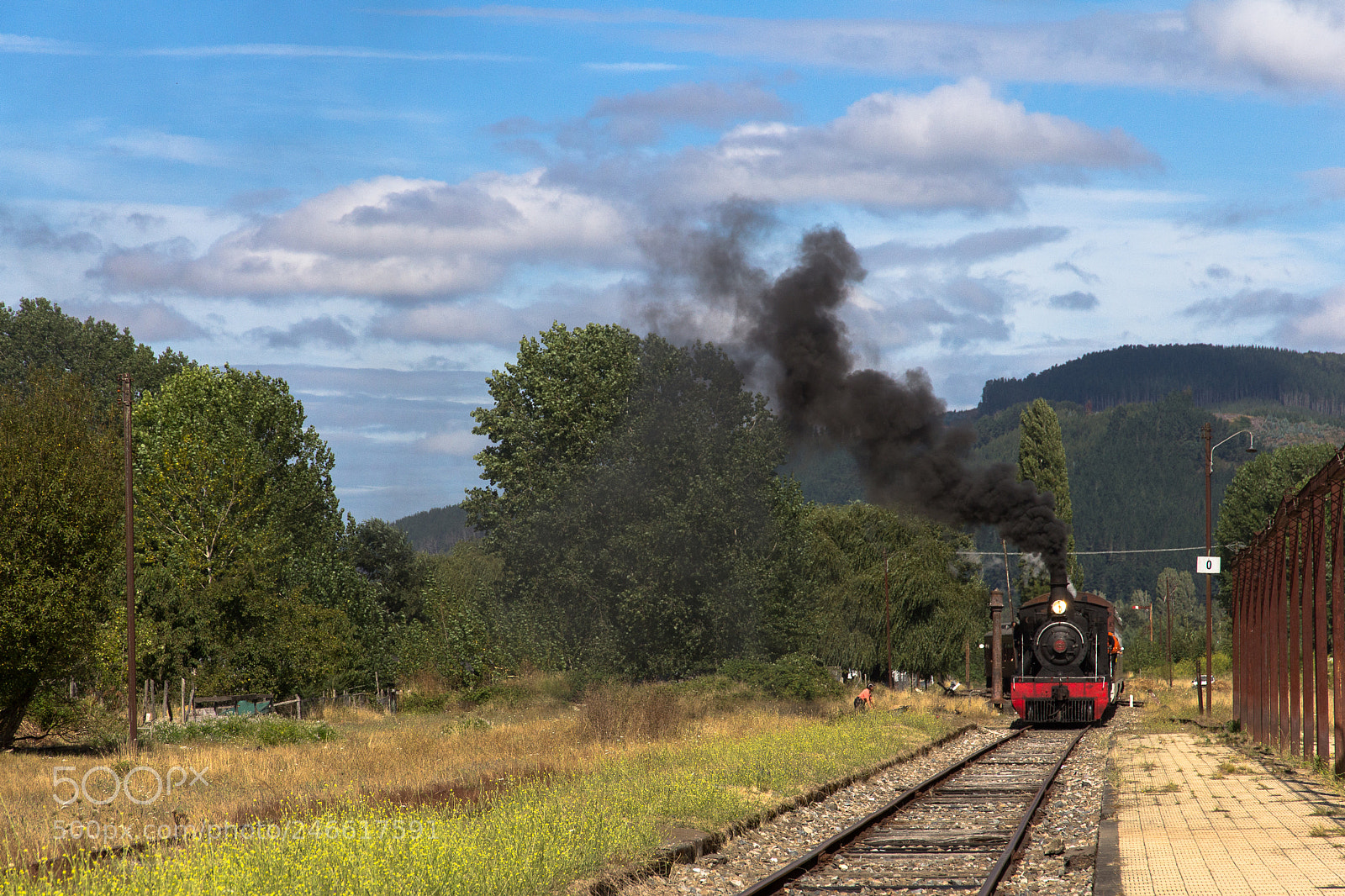 Canon EOS 60D sample photo. Tren valdiviano photography