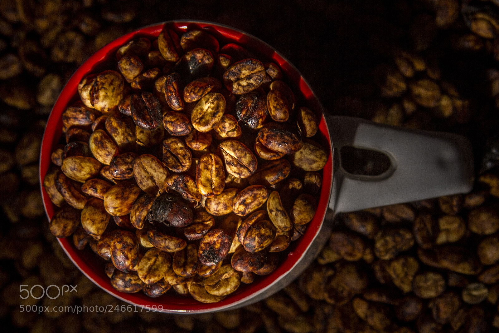 Canon EOS 7D sample photo. Red honey photography