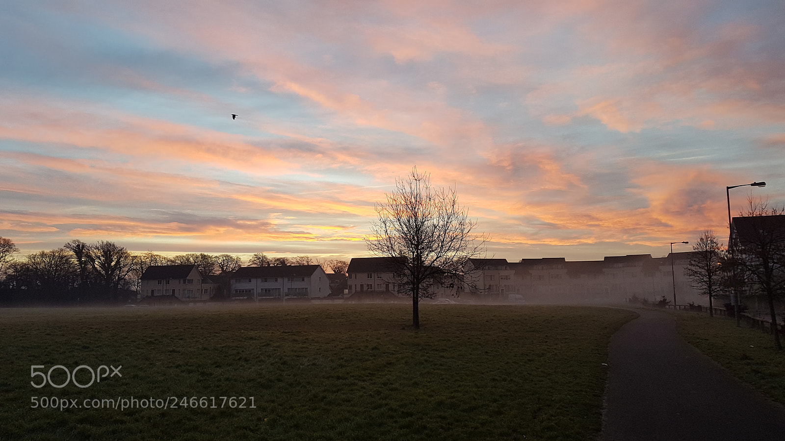 Samsung Galaxy S7 Edge sample photo. Amazing sunrise photography