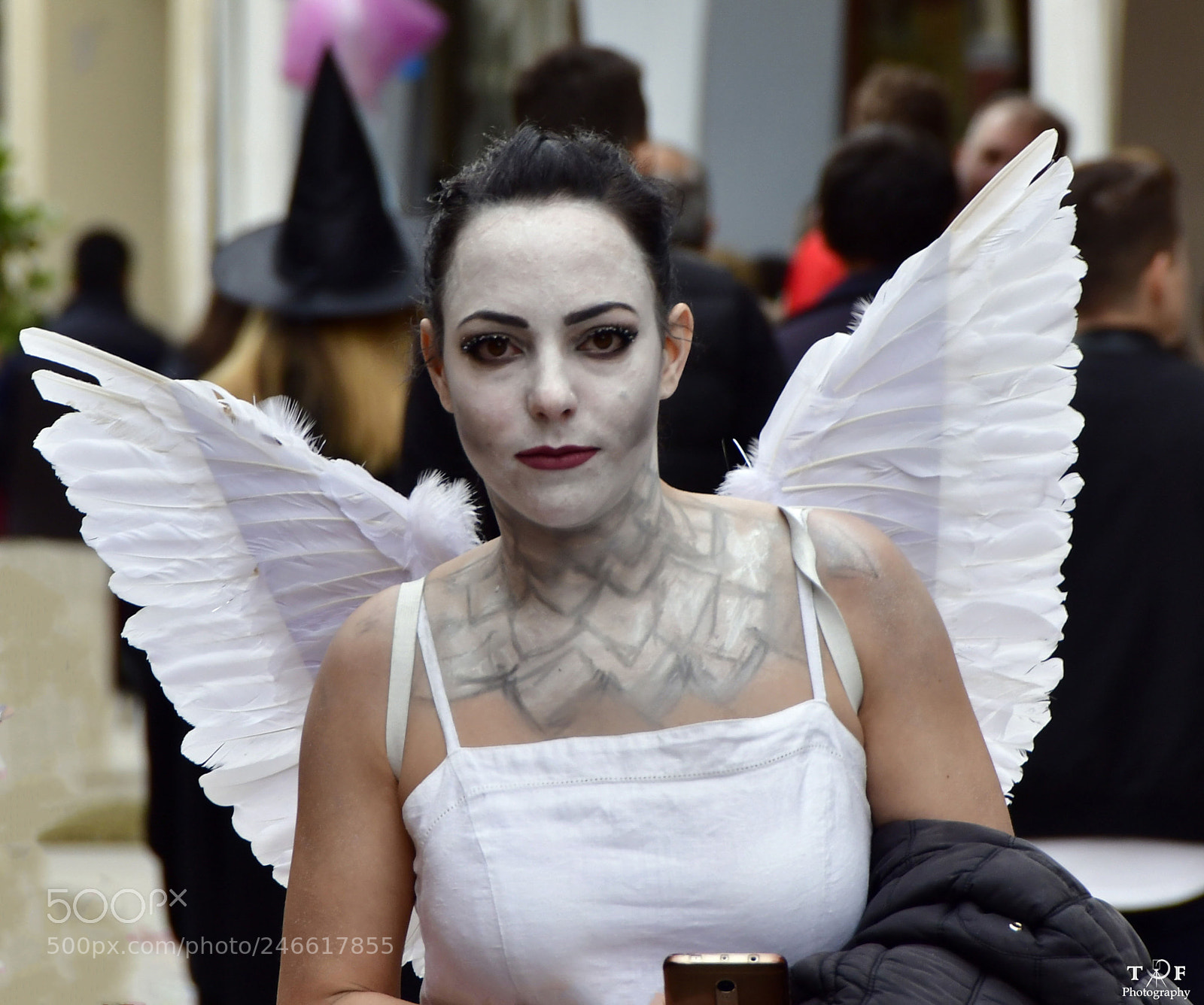 Nikon D500 sample photo. Untitled photography