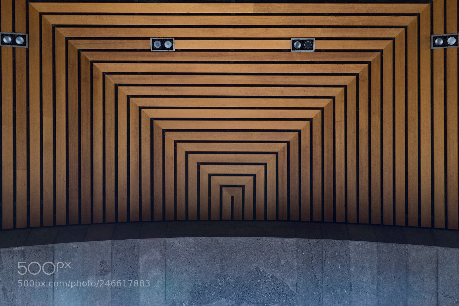 Nikon D5600 sample photo. Urban details, national gallery photography