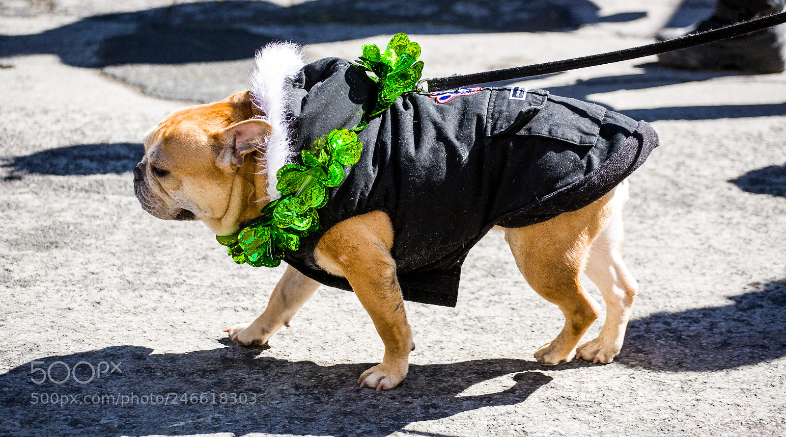 Canon EOS 5D sample photo. St.patricks day parade photography