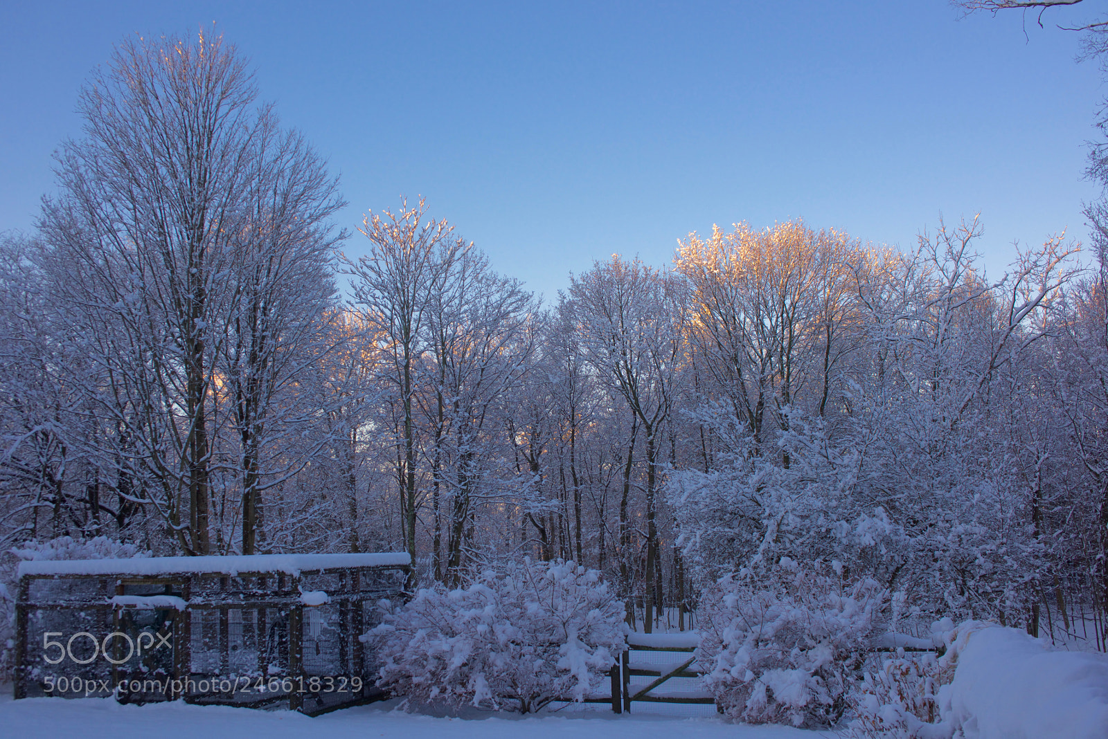 Nikon D810 sample photo. The morning after photography