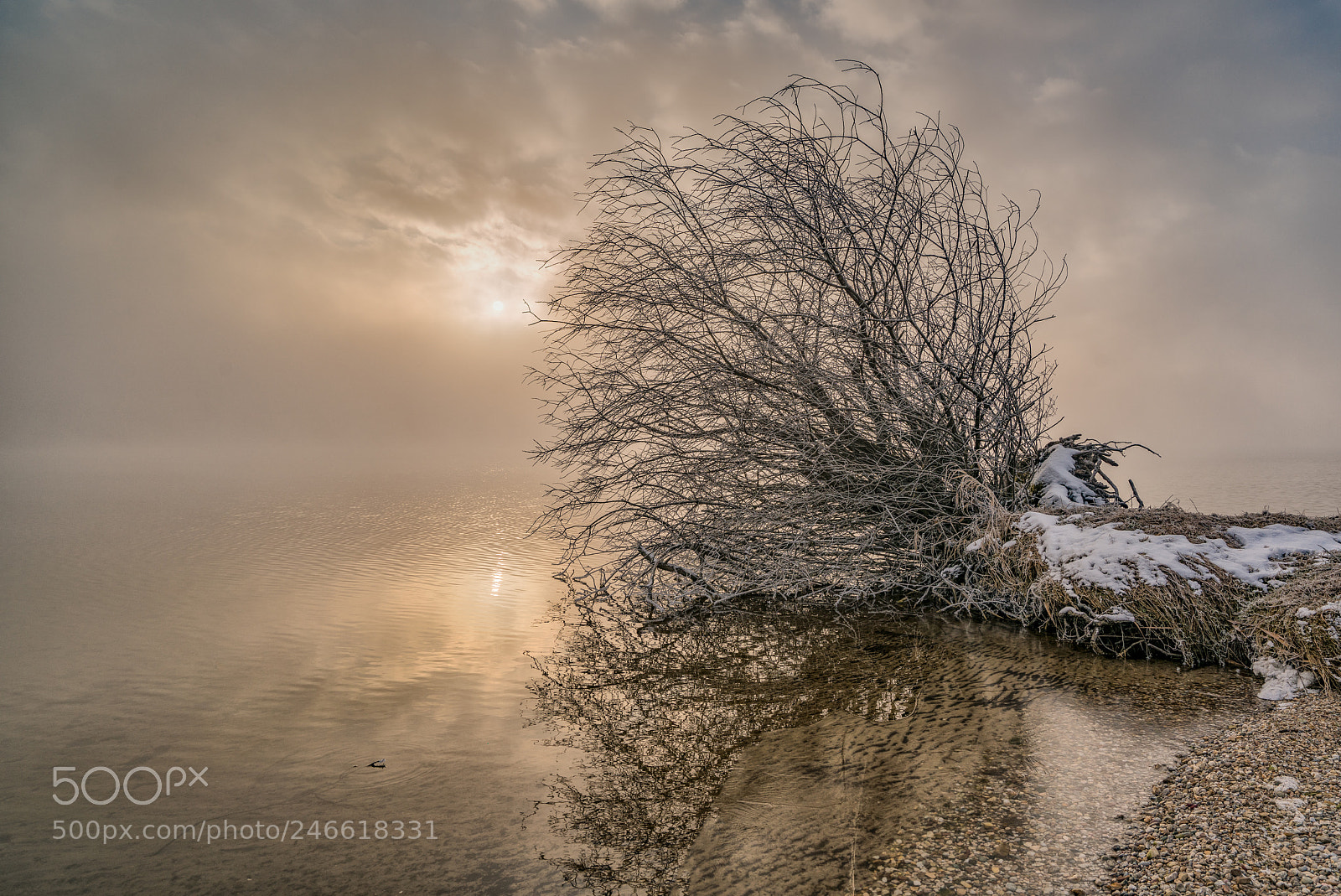 Sony a7R II sample photo. Nebel vs sonne photography