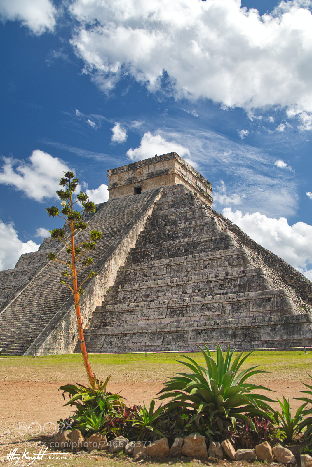Sony a6500 sample photo. Chichen itza garden photography
