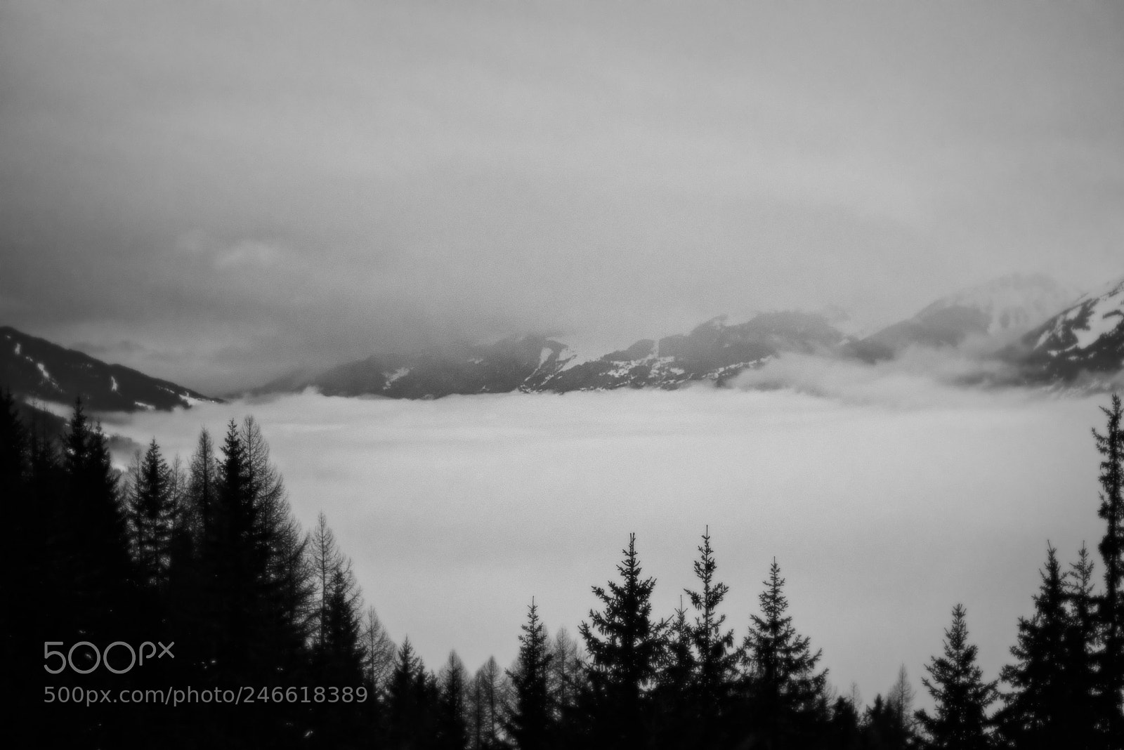 Nikon D610 sample photo. Sea of clouds photography