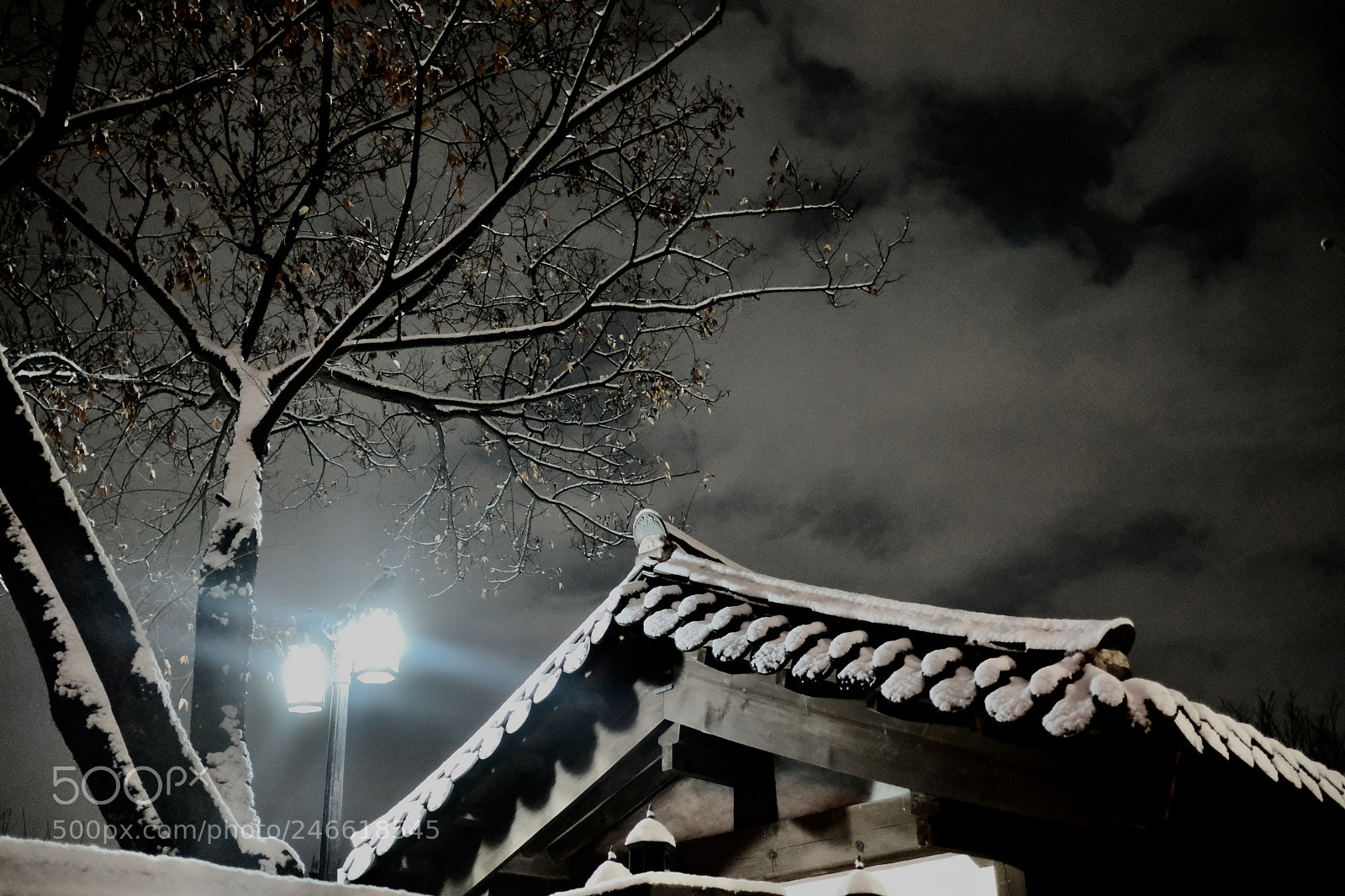 Fujifilm X-T2 sample photo. Snowing in seoul photography