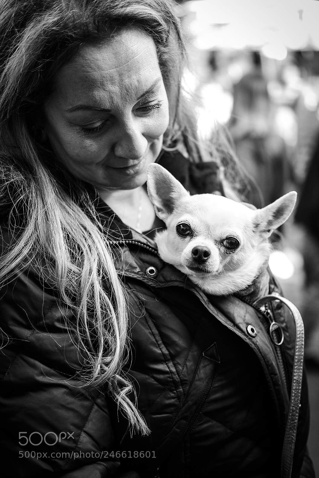 Fujifilm X-Pro1 sample photo. Untitled photography