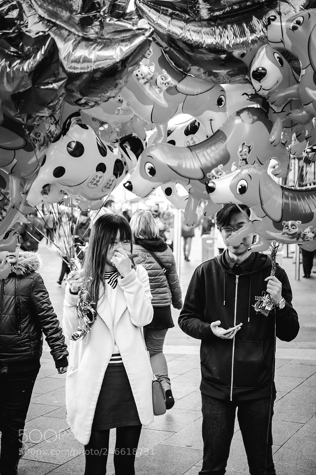 Fujifilm X-Pro1 sample photo. Year of the dog photography