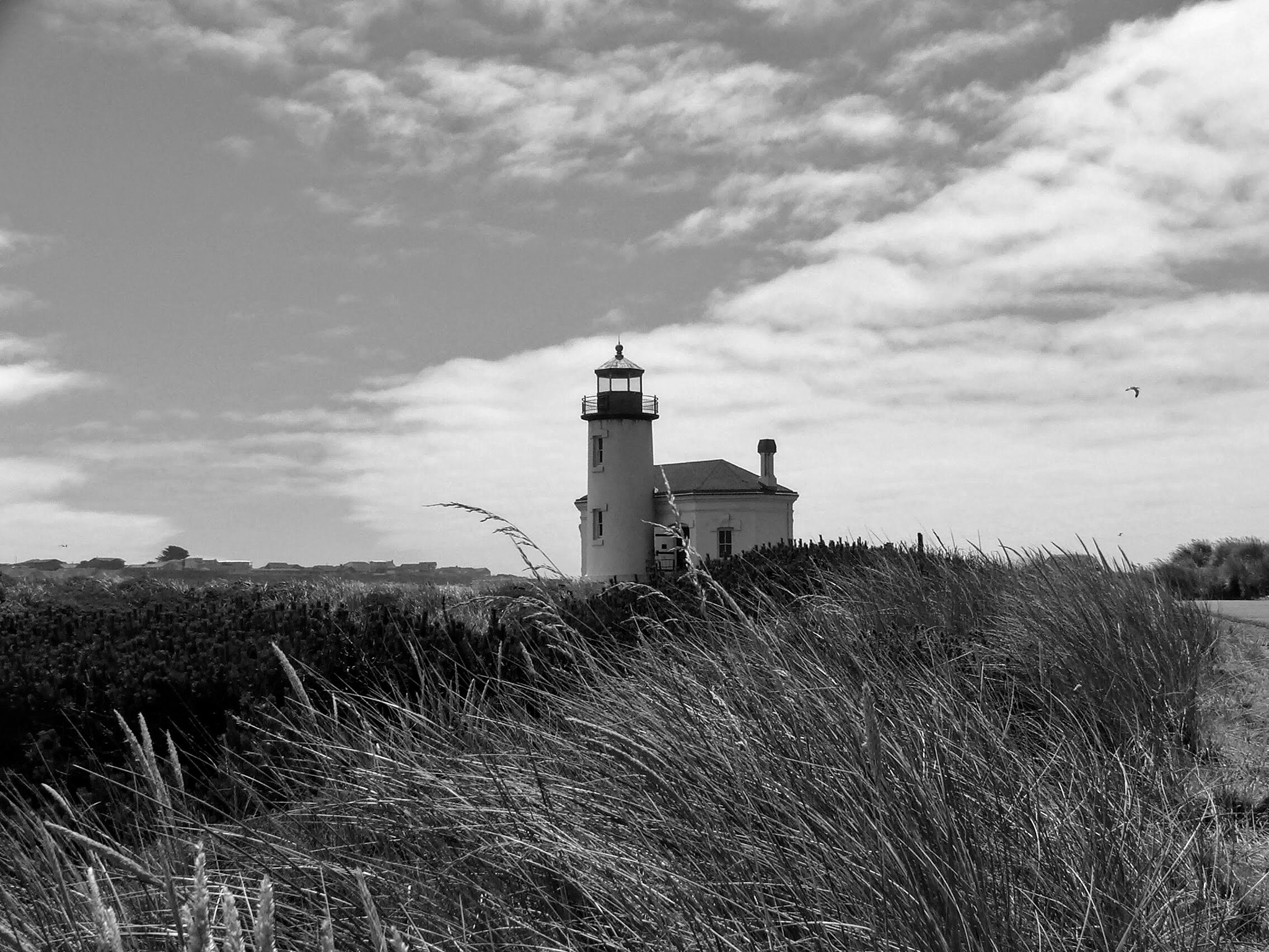 Fujifilm FinePix S5100 sample photo. Seaside sentinel photography