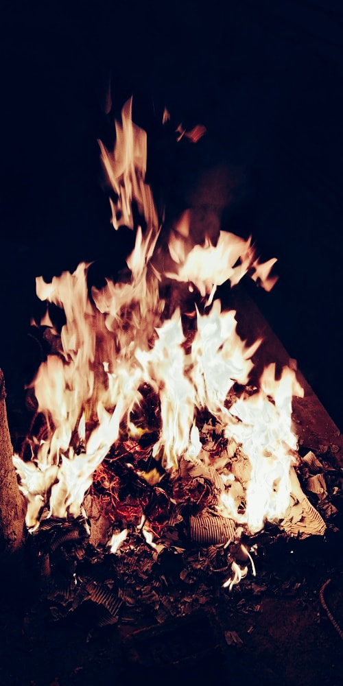vivo 1716 sample photo