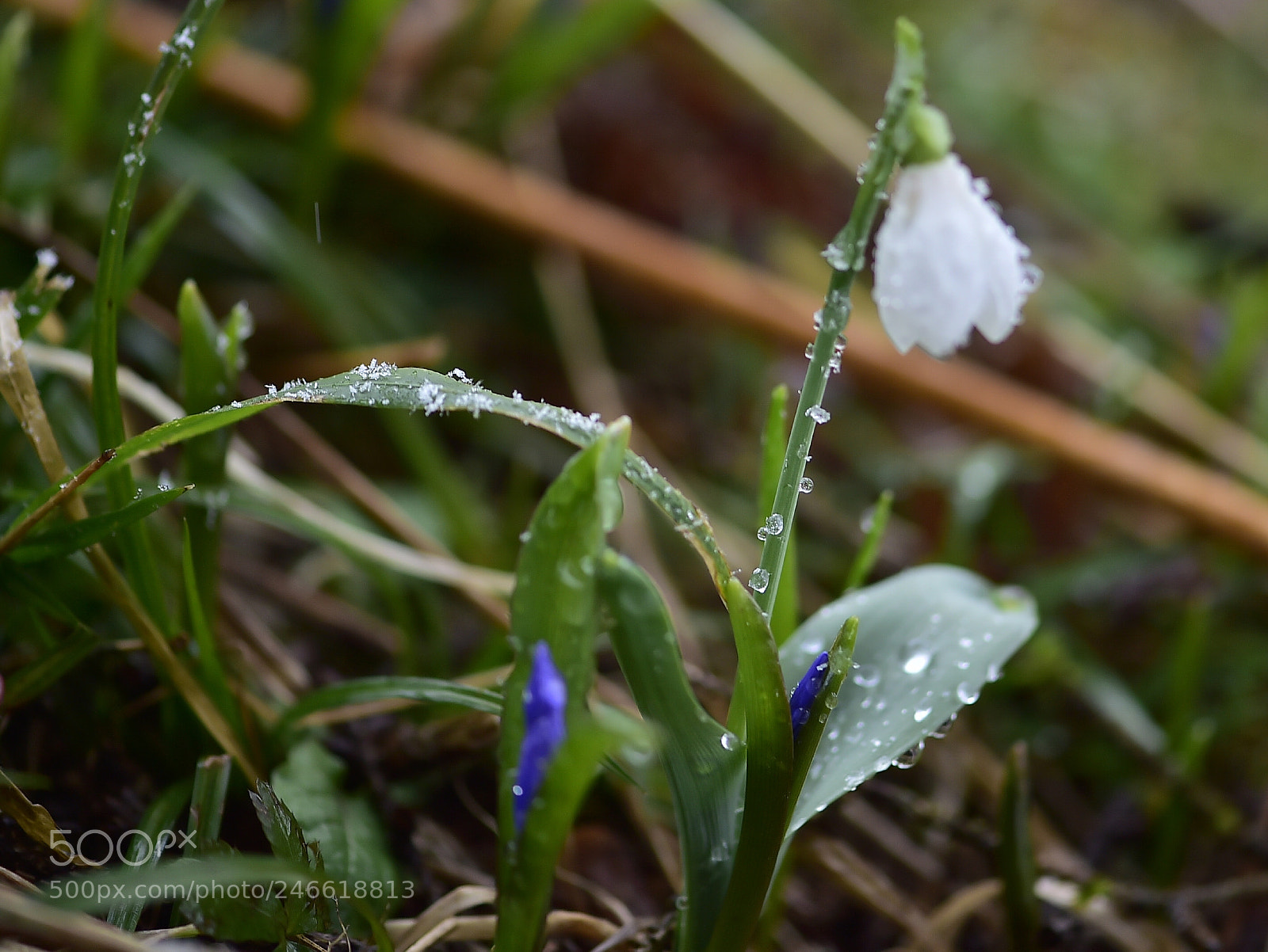Nikon D4S sample photo. Untitled photography