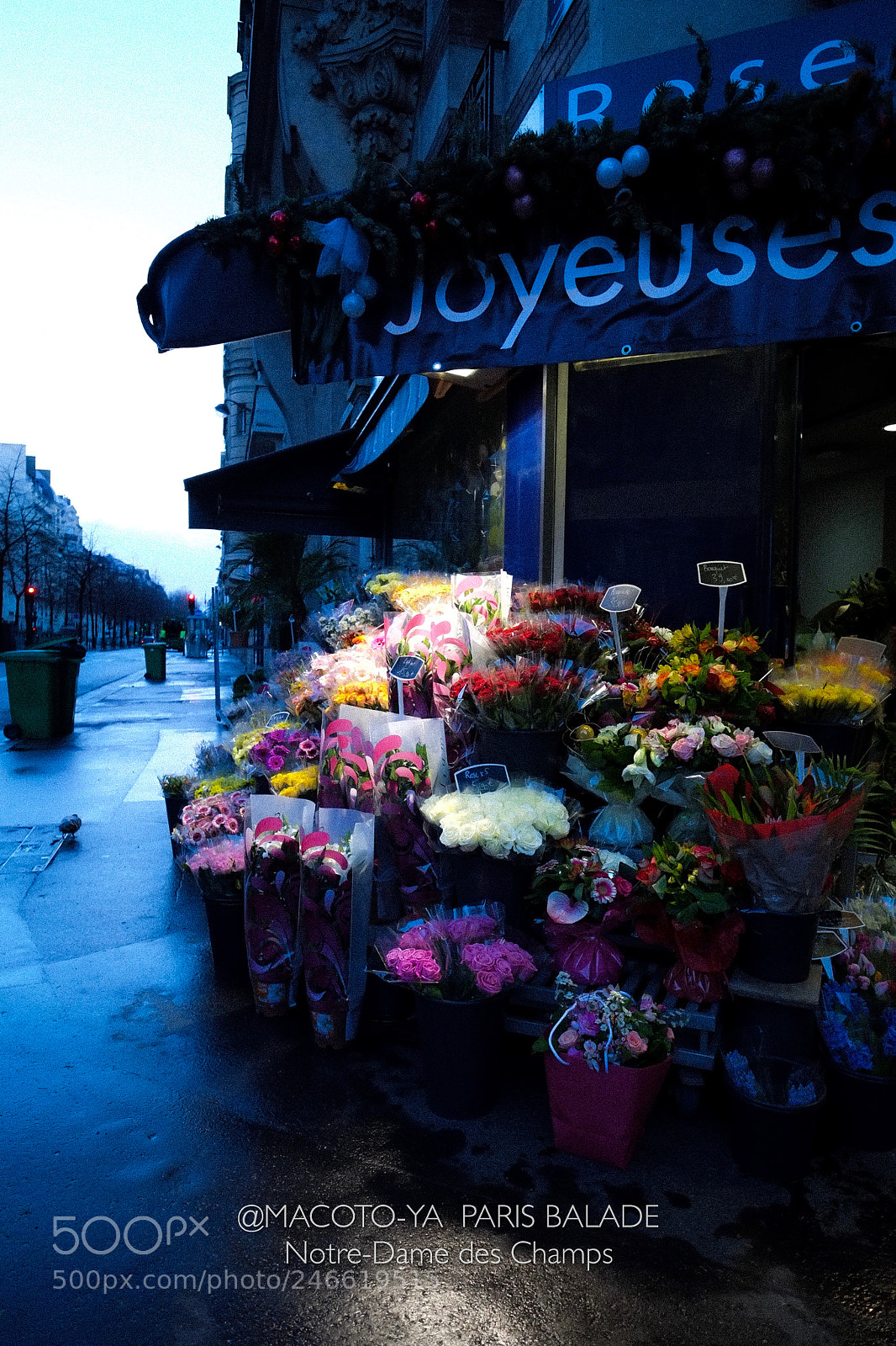 Fujifilm X-E1 sample photo. Le fleuriste paris est photography