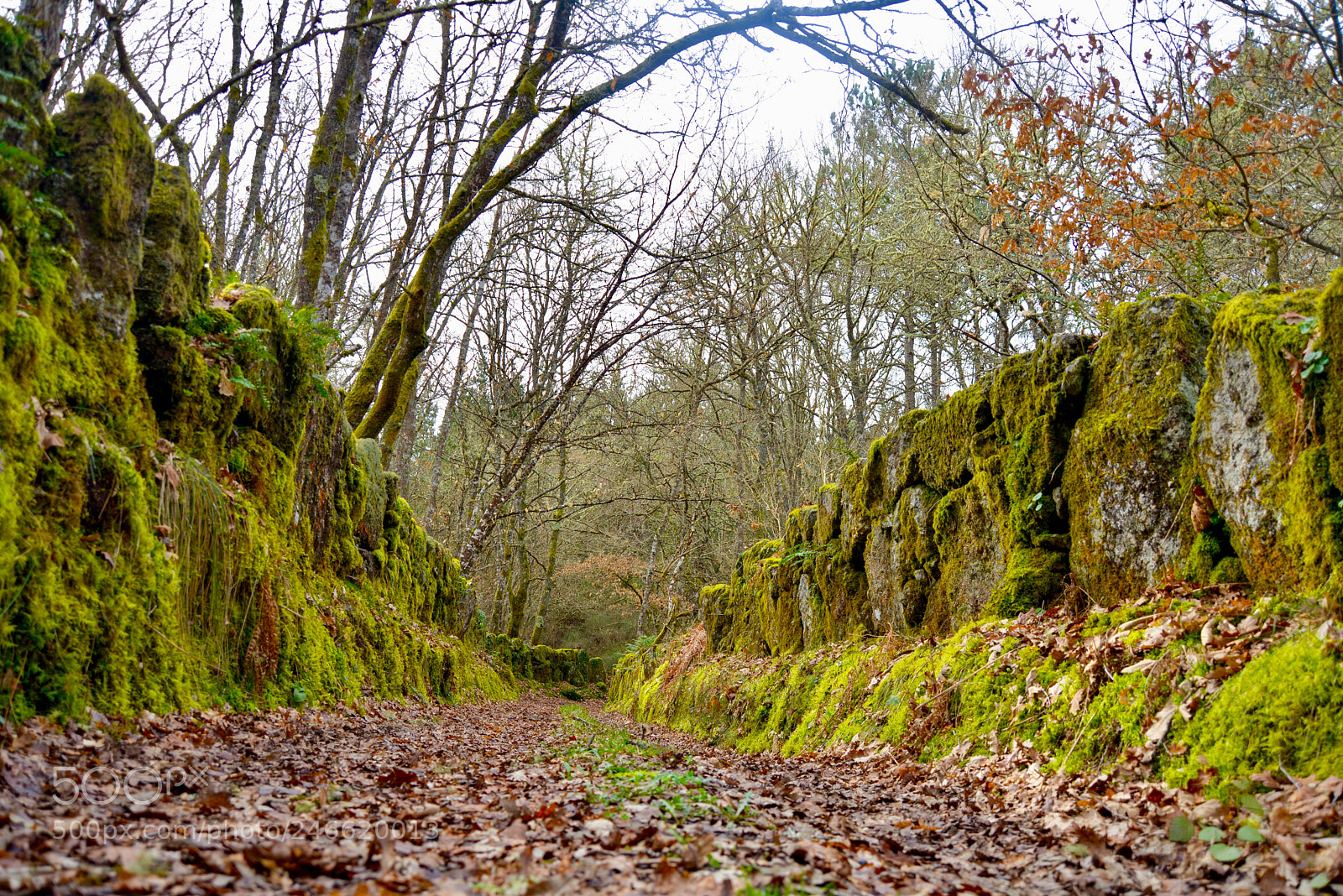 Nikon D610 sample photo. Untitled photography