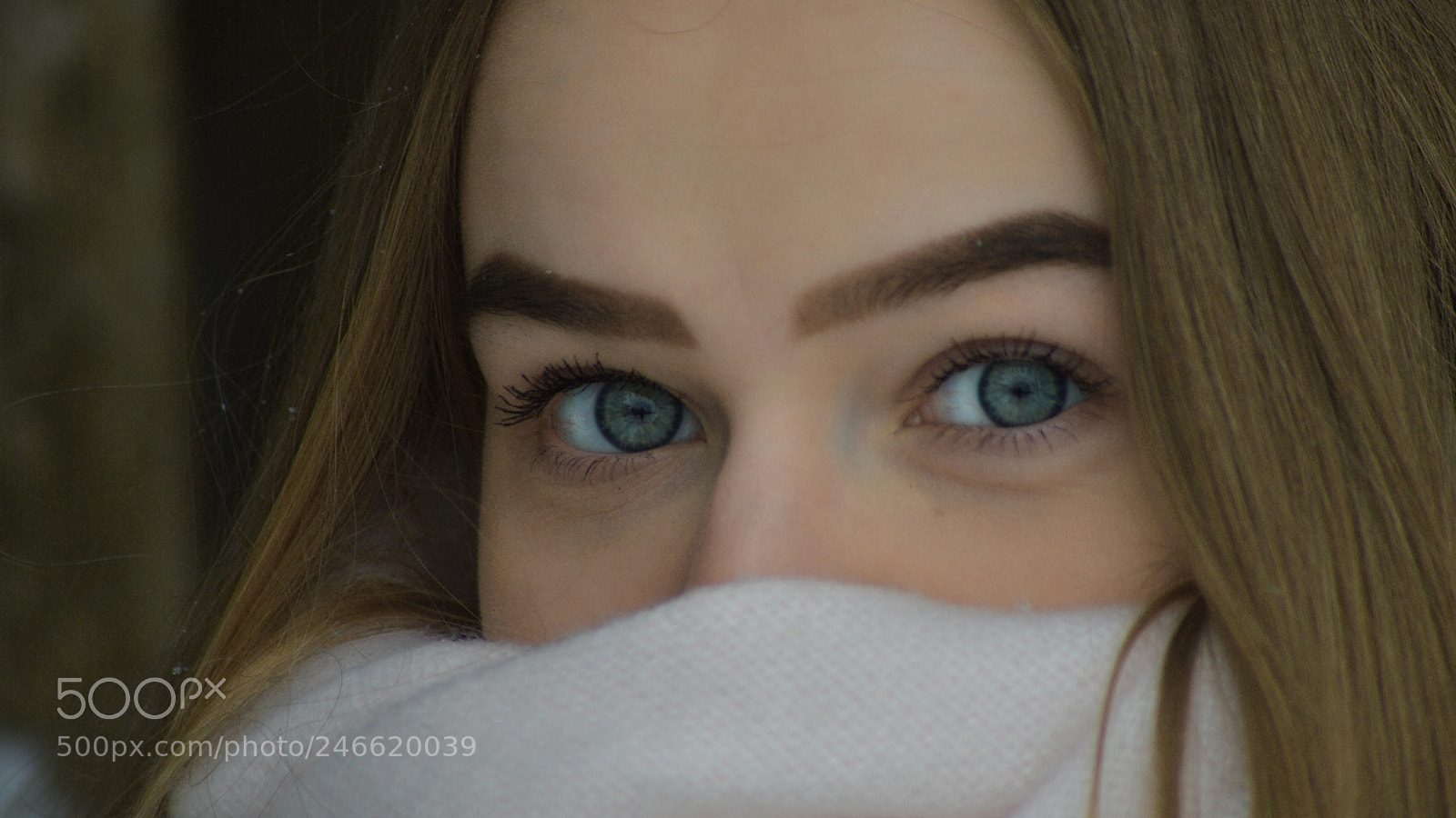 Nikon D3200 sample photo. February 2018 photography