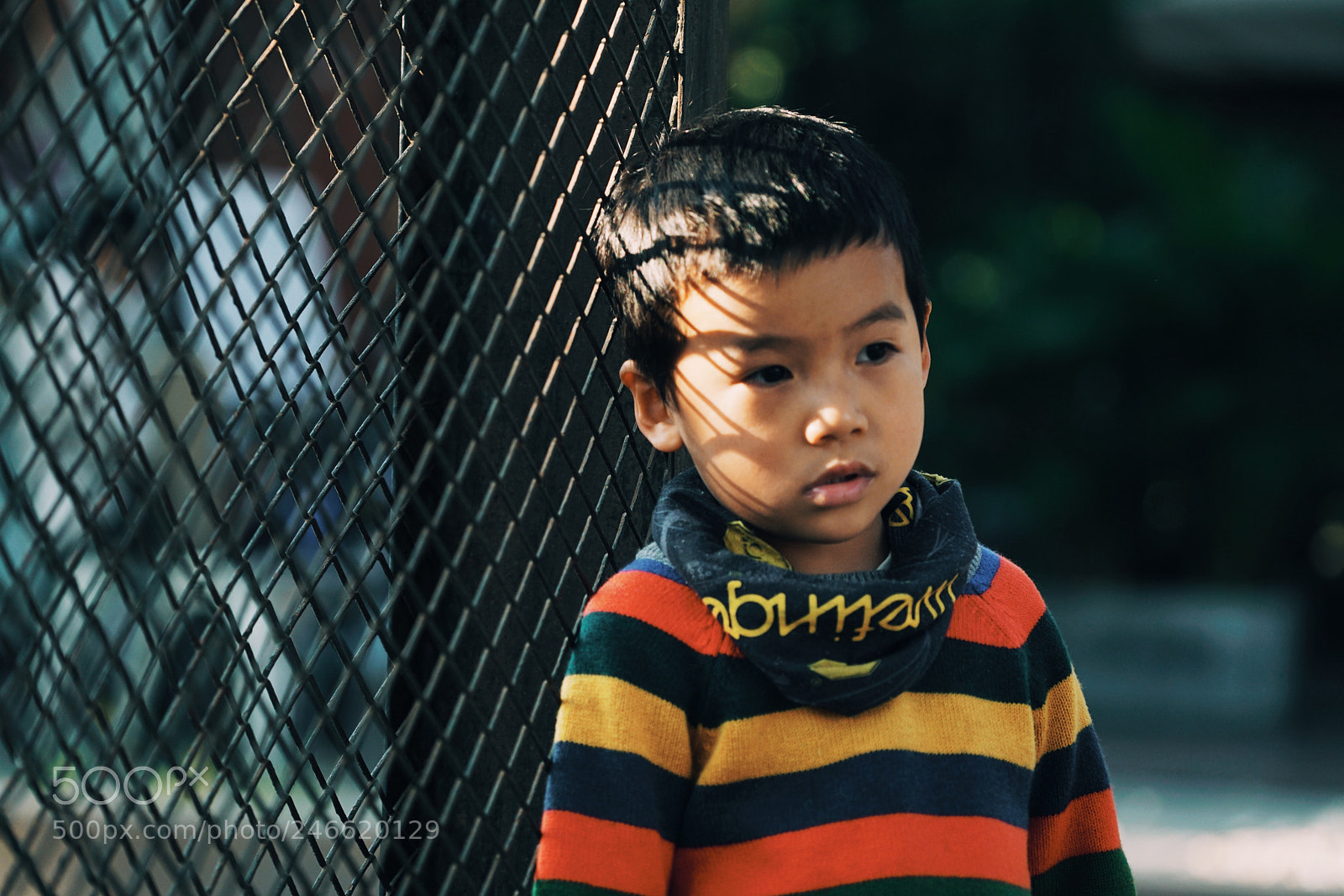 Sony a7R II sample photo. Untitled photography