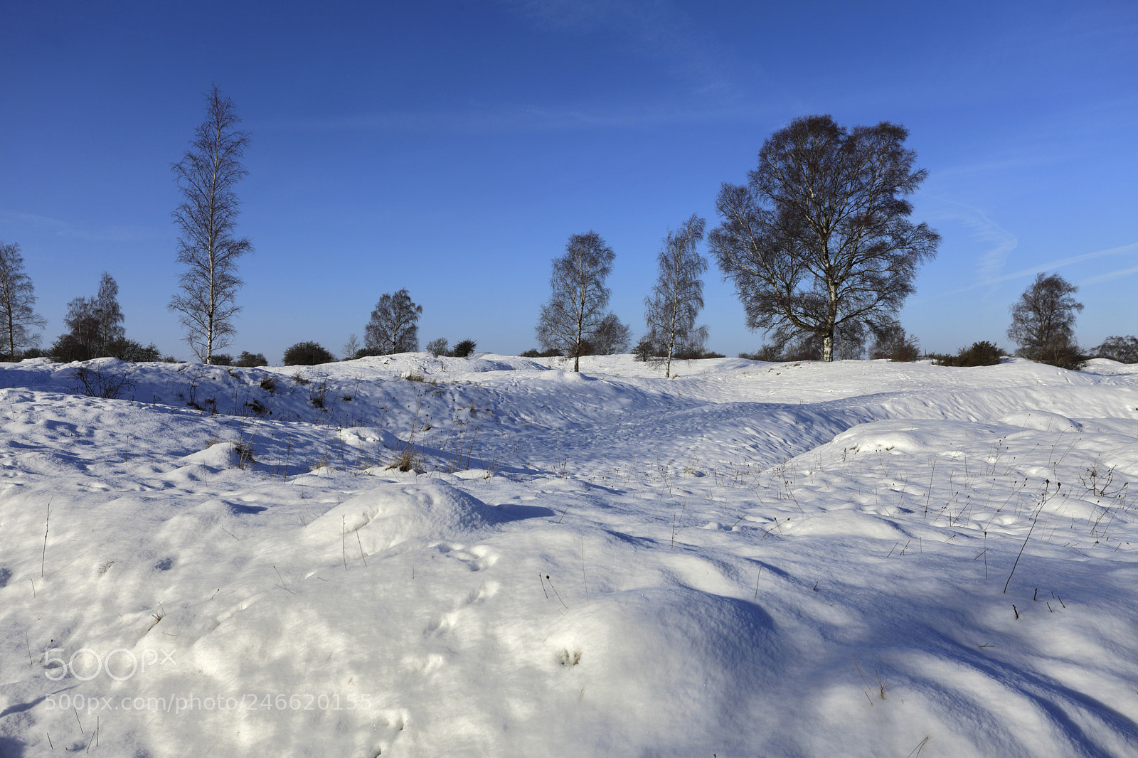 Canon EOS 5D Mark II sample photo. Winter snow at barnack photography