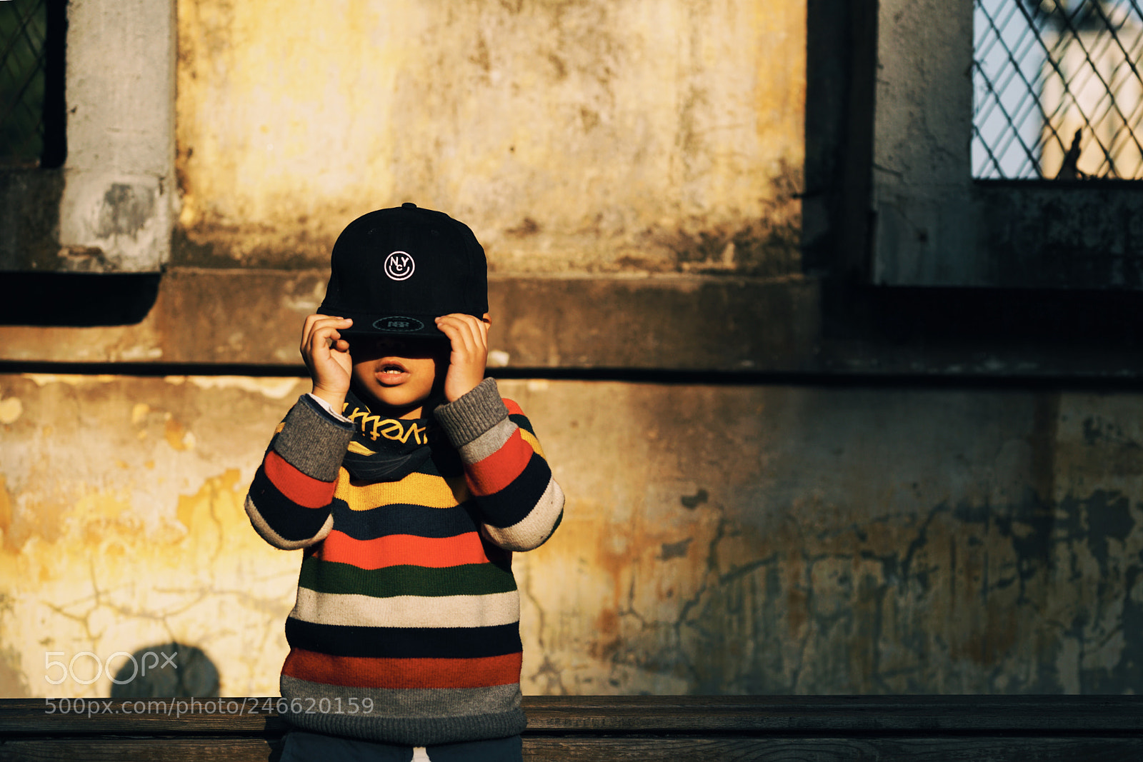 Sony a7R II sample photo. Untitled photography