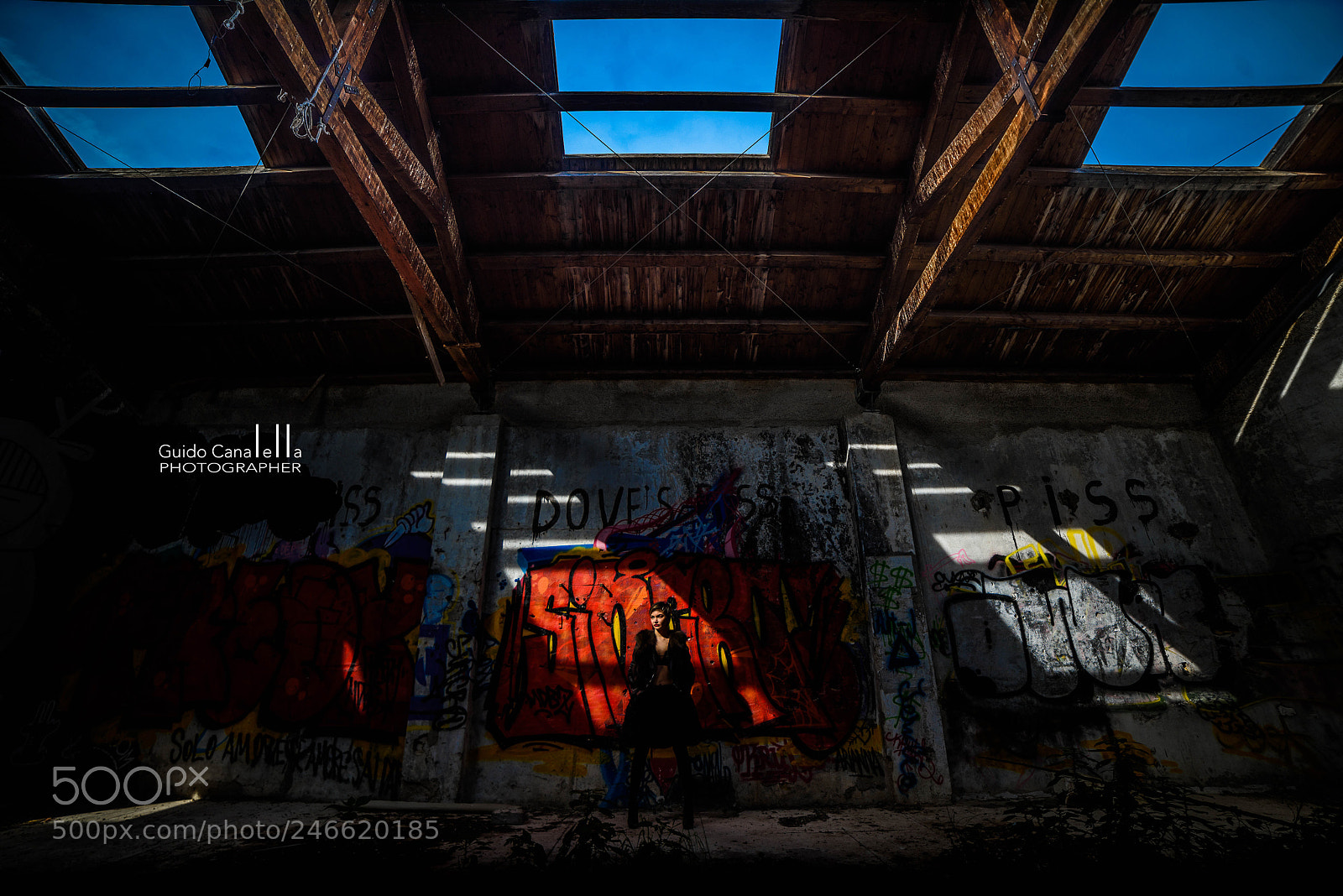 Nikon D810 sample photo. Il capannone photography