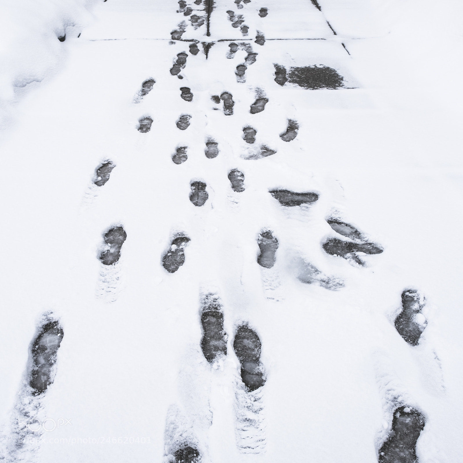 Fujifilm X-T2 sample photo. Crazy feet photography