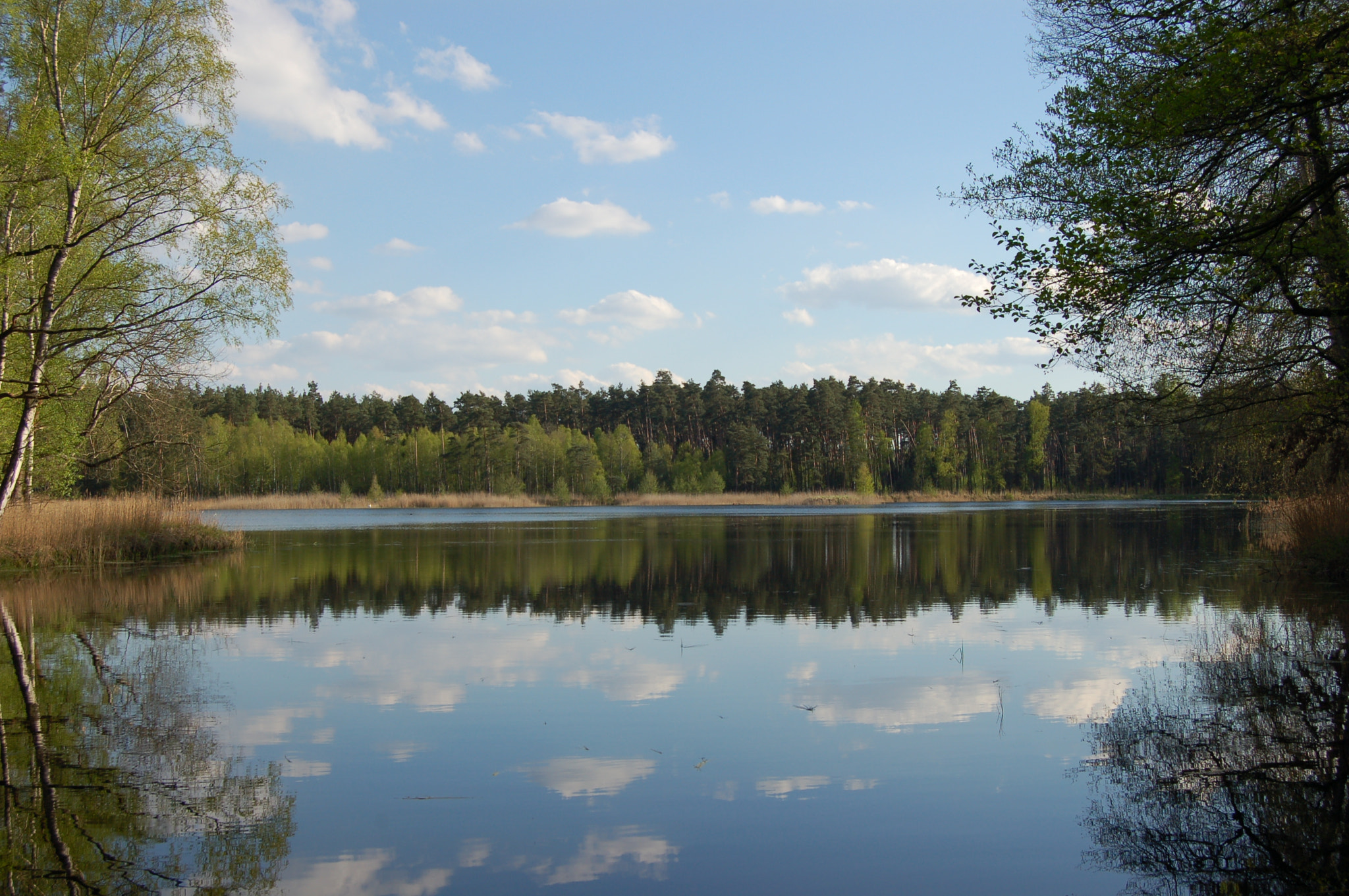 Nikon D50 sample photo. Lake photography
