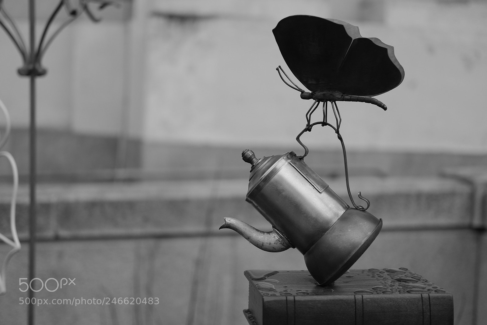 Fujifilm X-Pro1 sample photo. Untitled photography