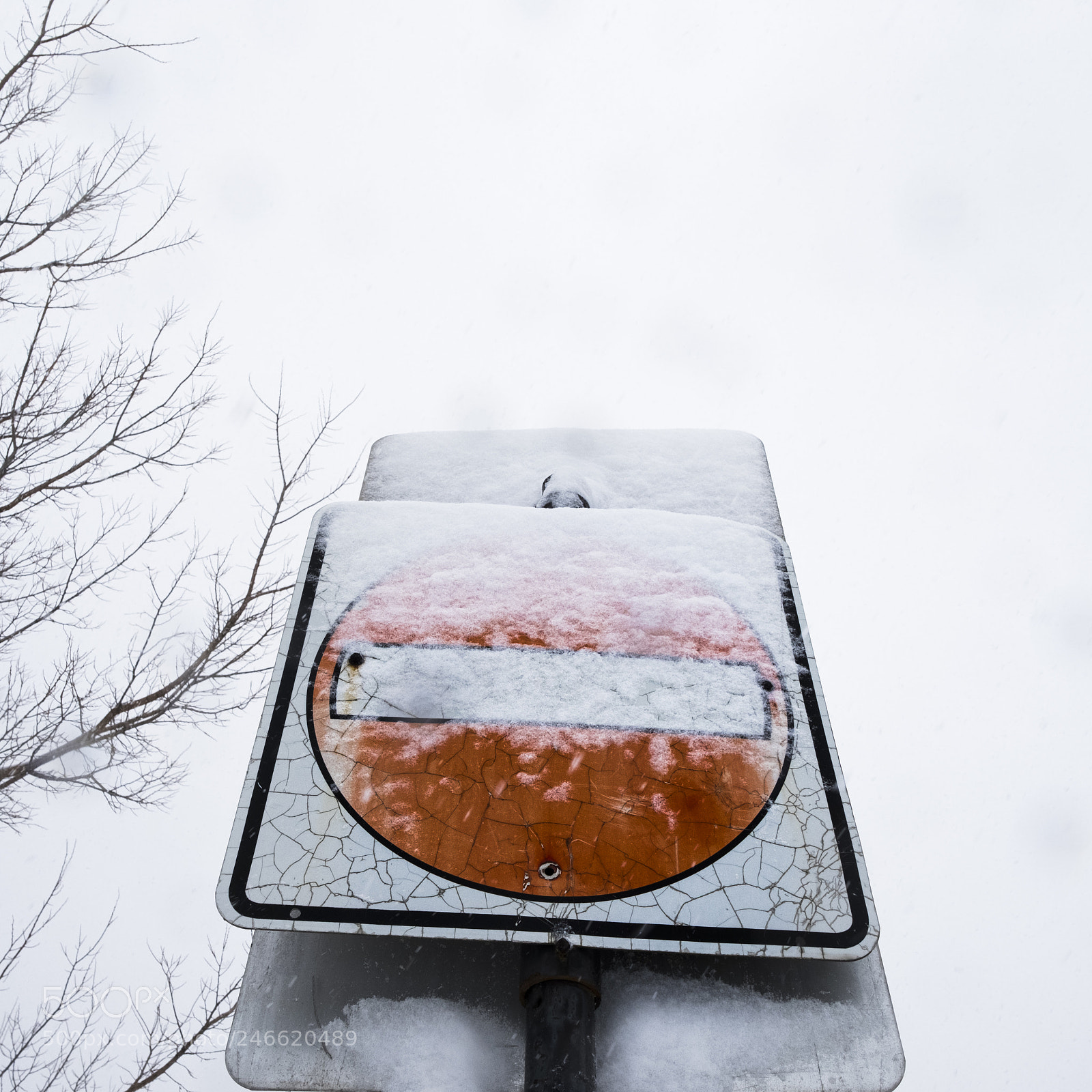 Fujifilm X-T2 sample photo. Cracked photography