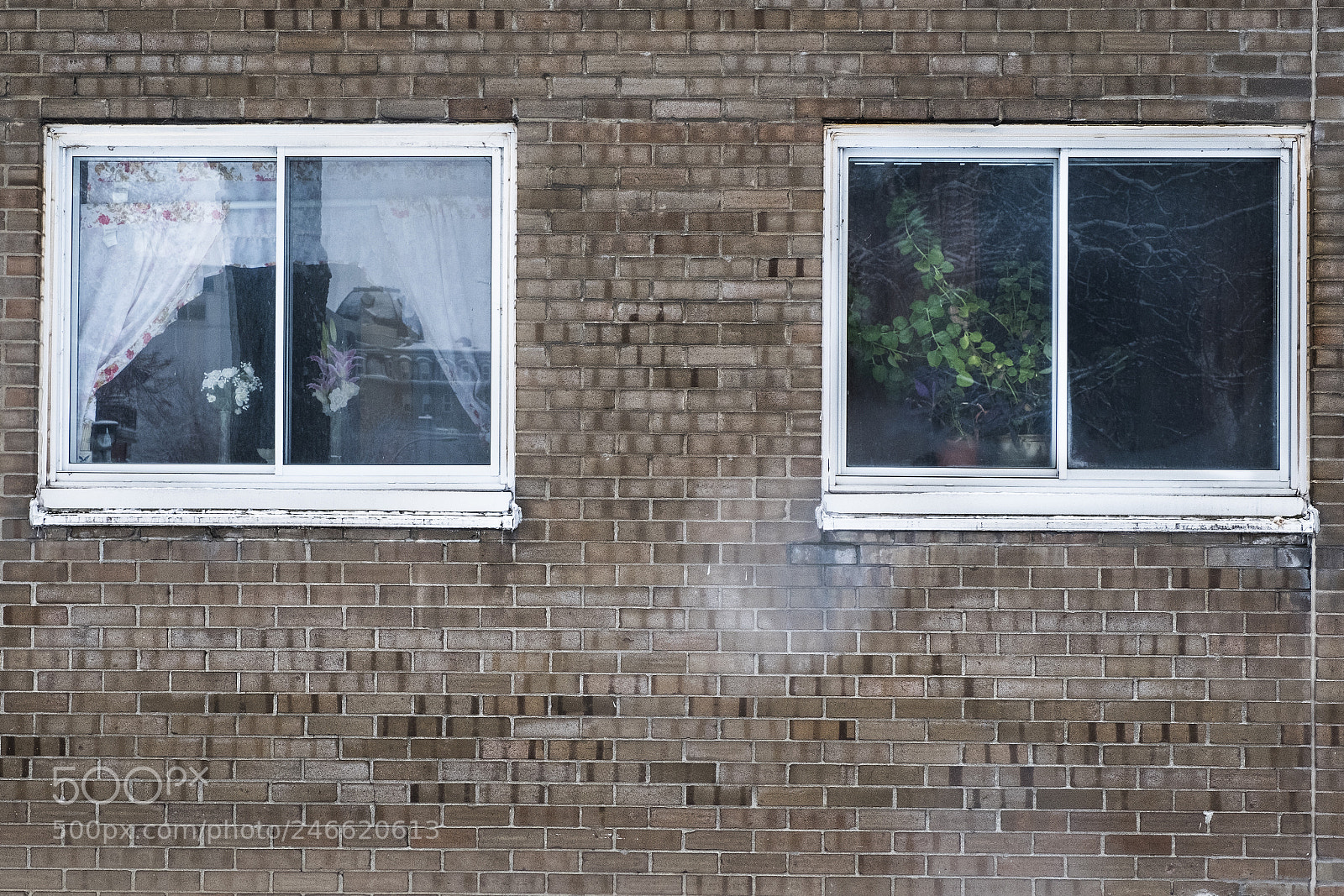 Fujifilm X-T2 sample photo. Which one ? photography