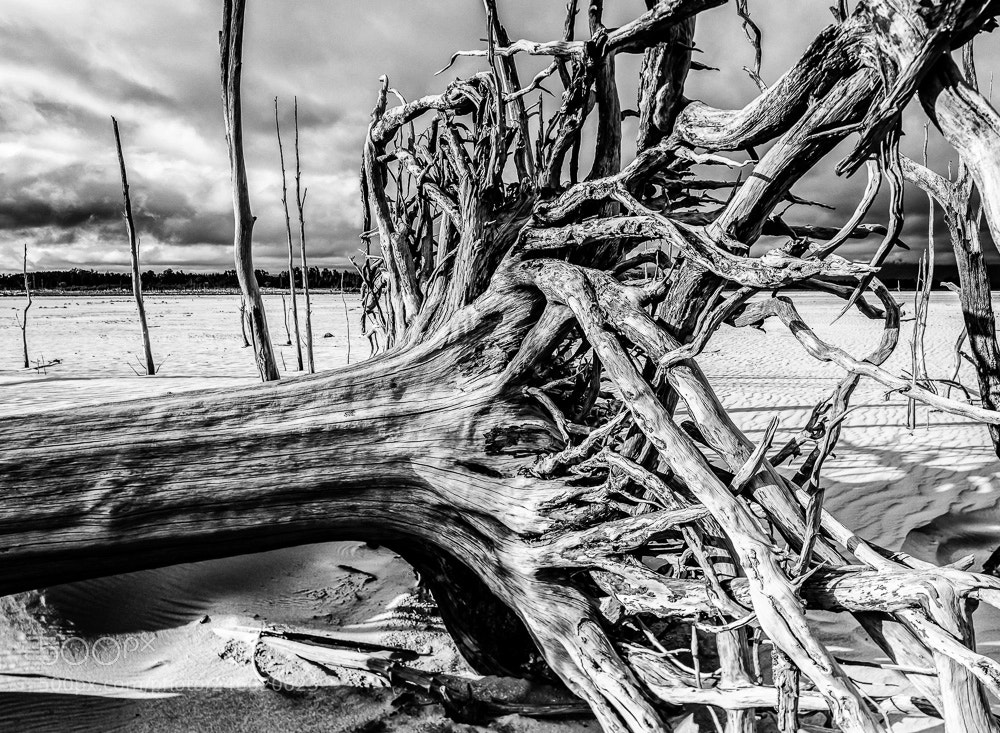 Nikon D850 sample photo. Three rivers dam 5 photography