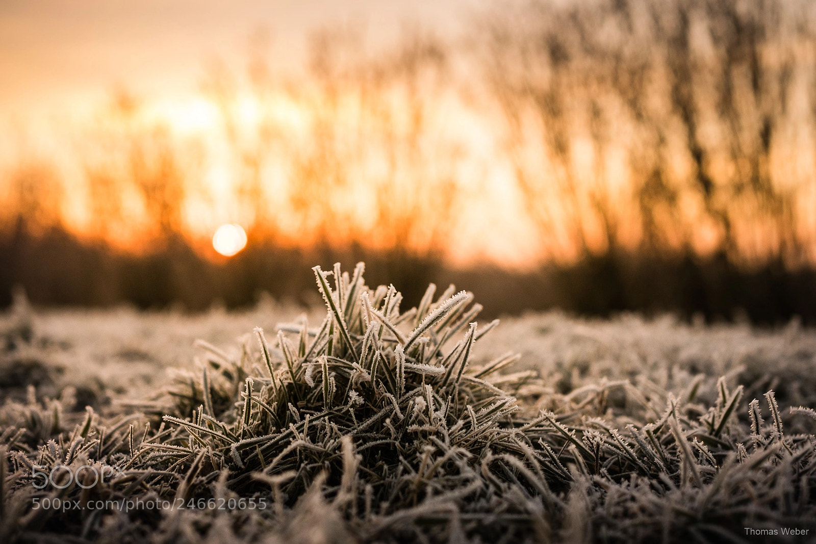Panasonic Lumix DC-GH5 sample photo. Sunrise in winter photography