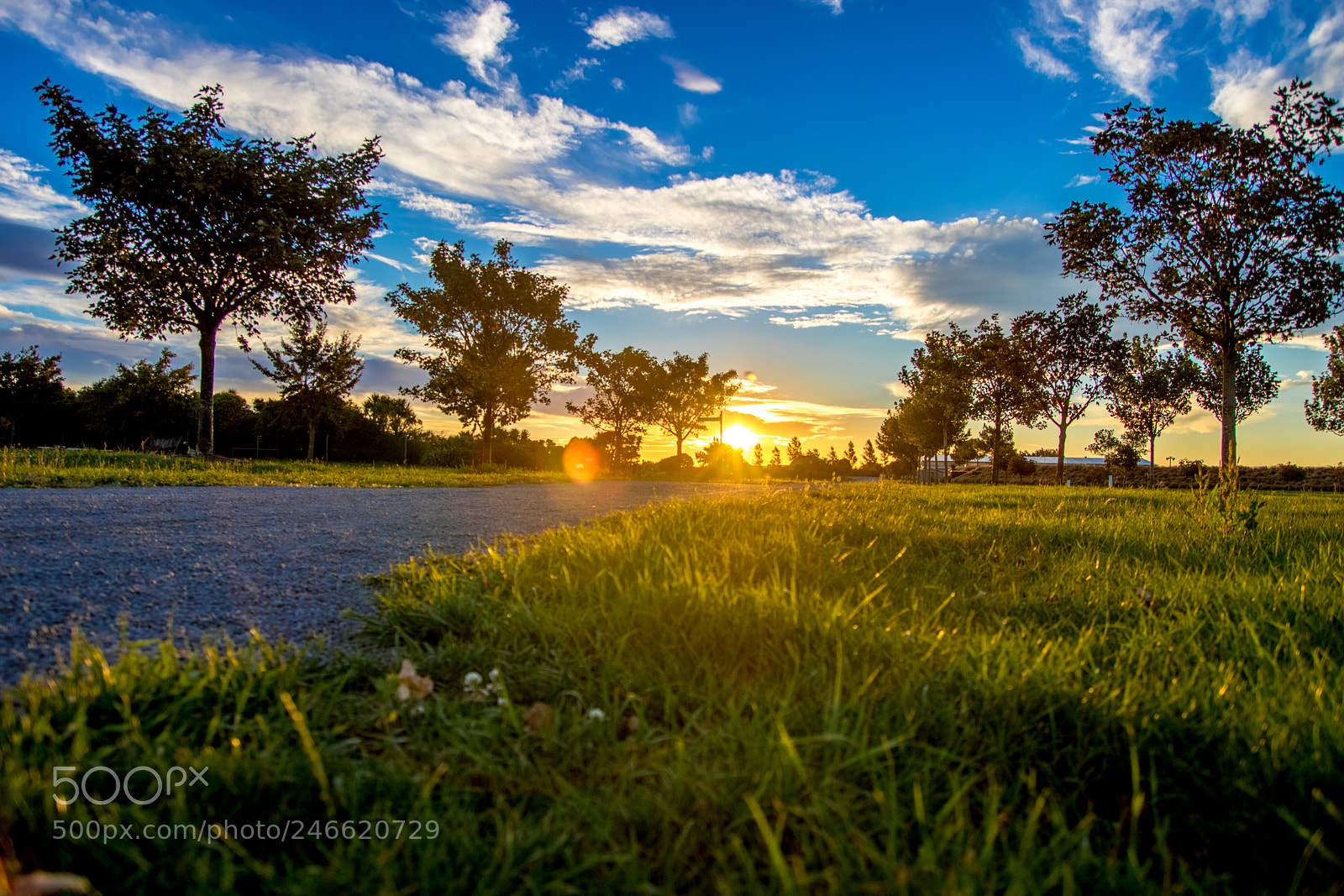 Canon EOS 750D (EOS Rebel T6i / EOS Kiss X8i) sample photo. Golden sunset action photography