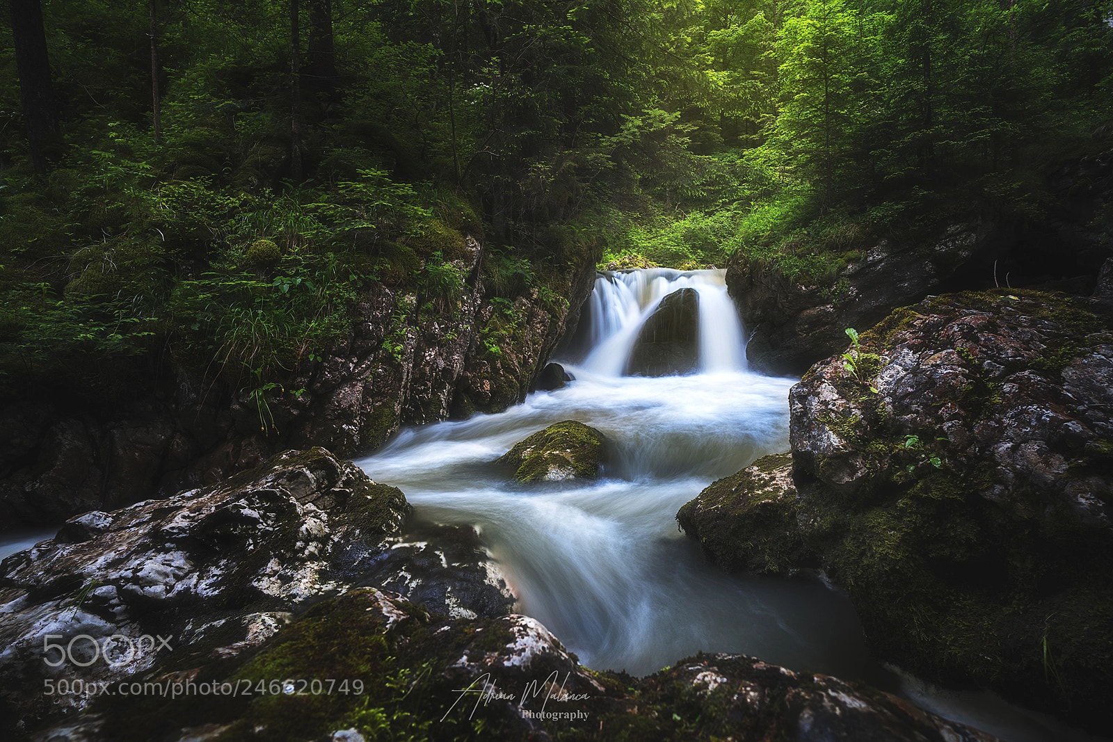 Sony a7R II sample photo. Flowing! photography