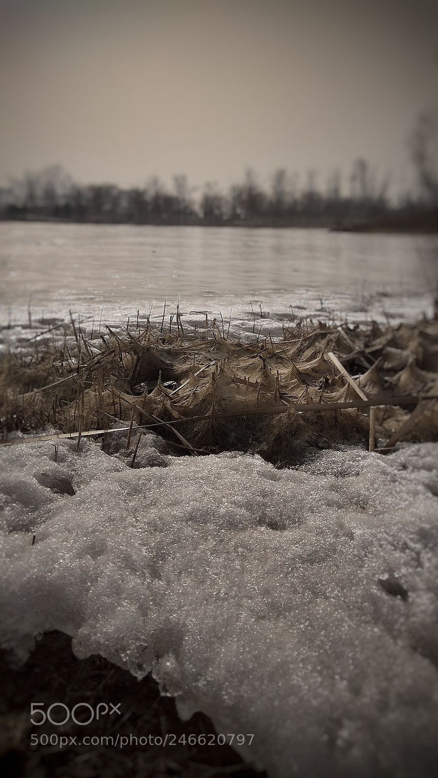 Xiaomi Redmi Note 4X sample photo. Lake photography