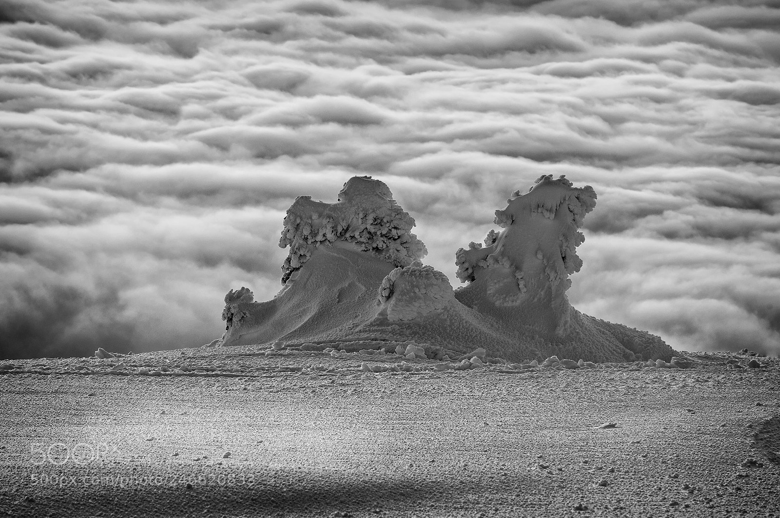 Nikon D90 sample photo. Above the clouds... photography