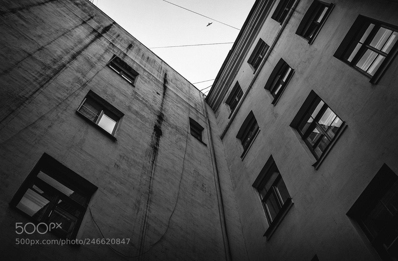 Sony ILCA-77M2 sample photo. Windows photography