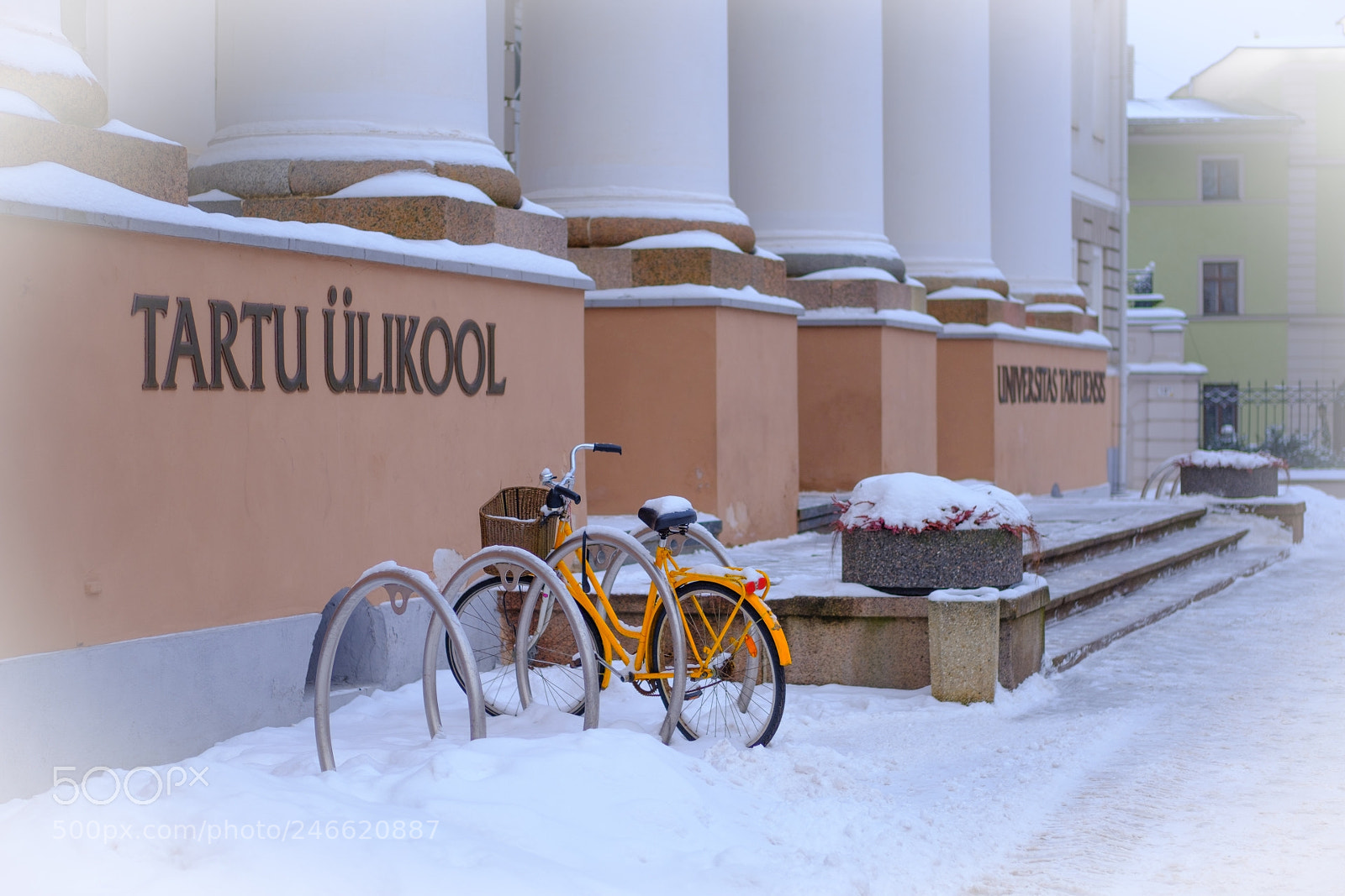 Fujifilm X-T20 sample photo. Universitas tartuensis photography