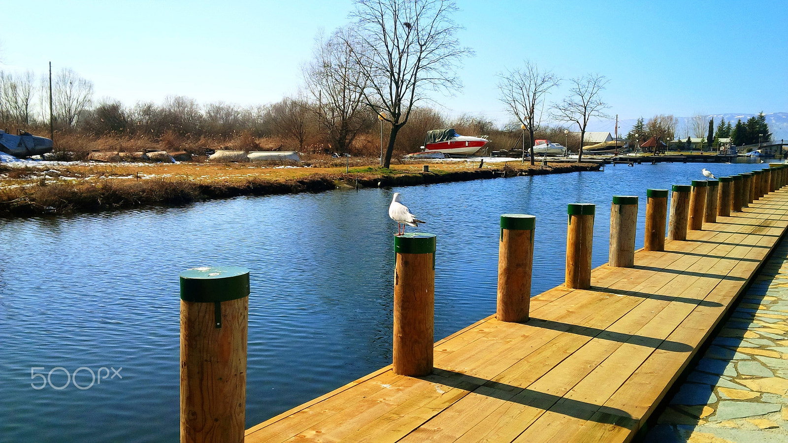 BlackBerry Z10 sample photo. Jonathan livingston seagull photography