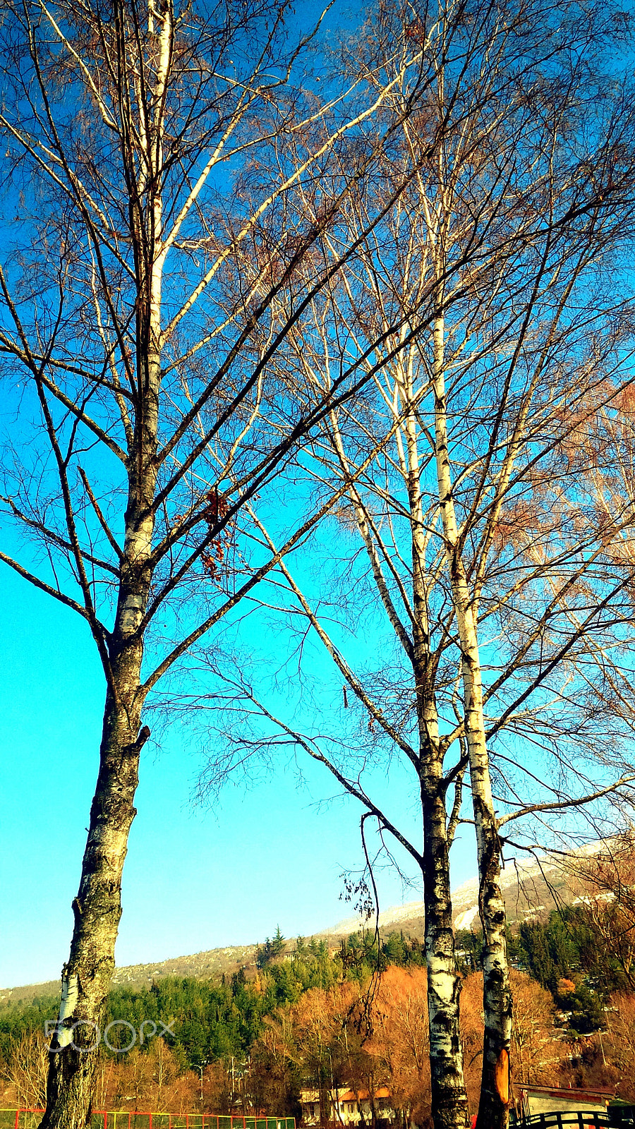 BlackBerry Z10 sample photo. Take a breath photography