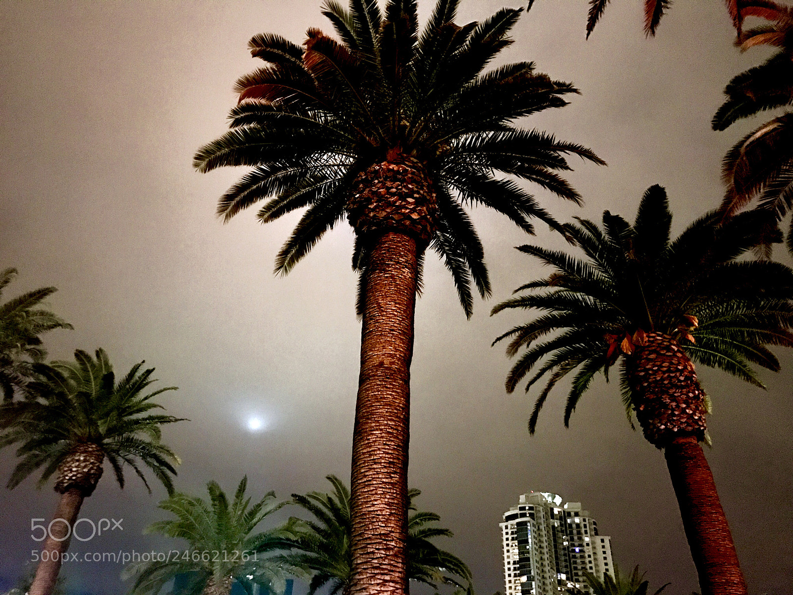 Apple iPhone 7 Plus sample photo. Las vegas night photography