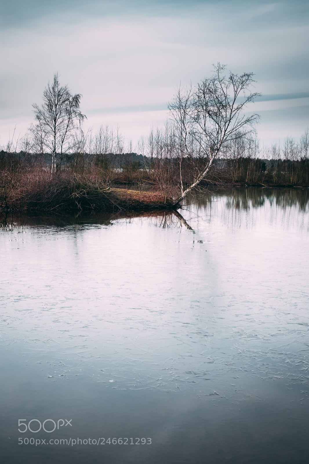 Fujifilm X100S sample photo. Untitled photography