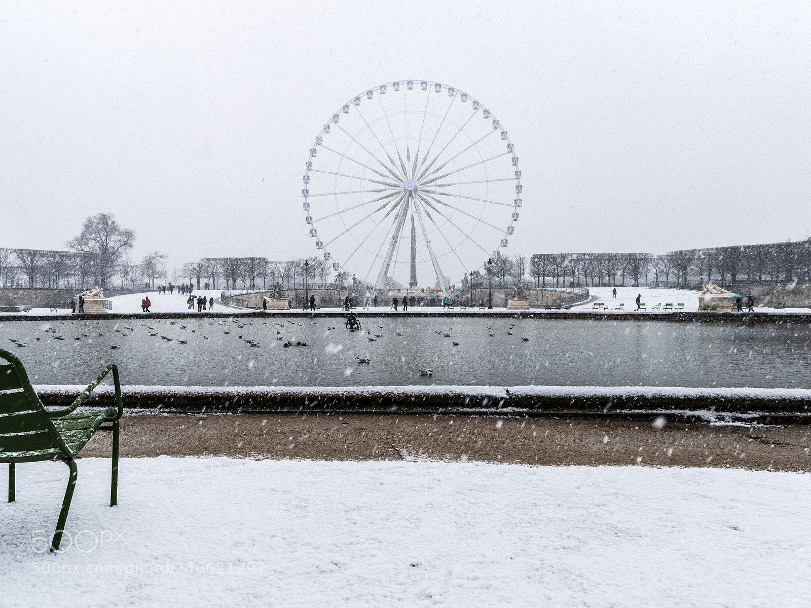 Nikon D3200 sample photo. Neige sur le jardin photography