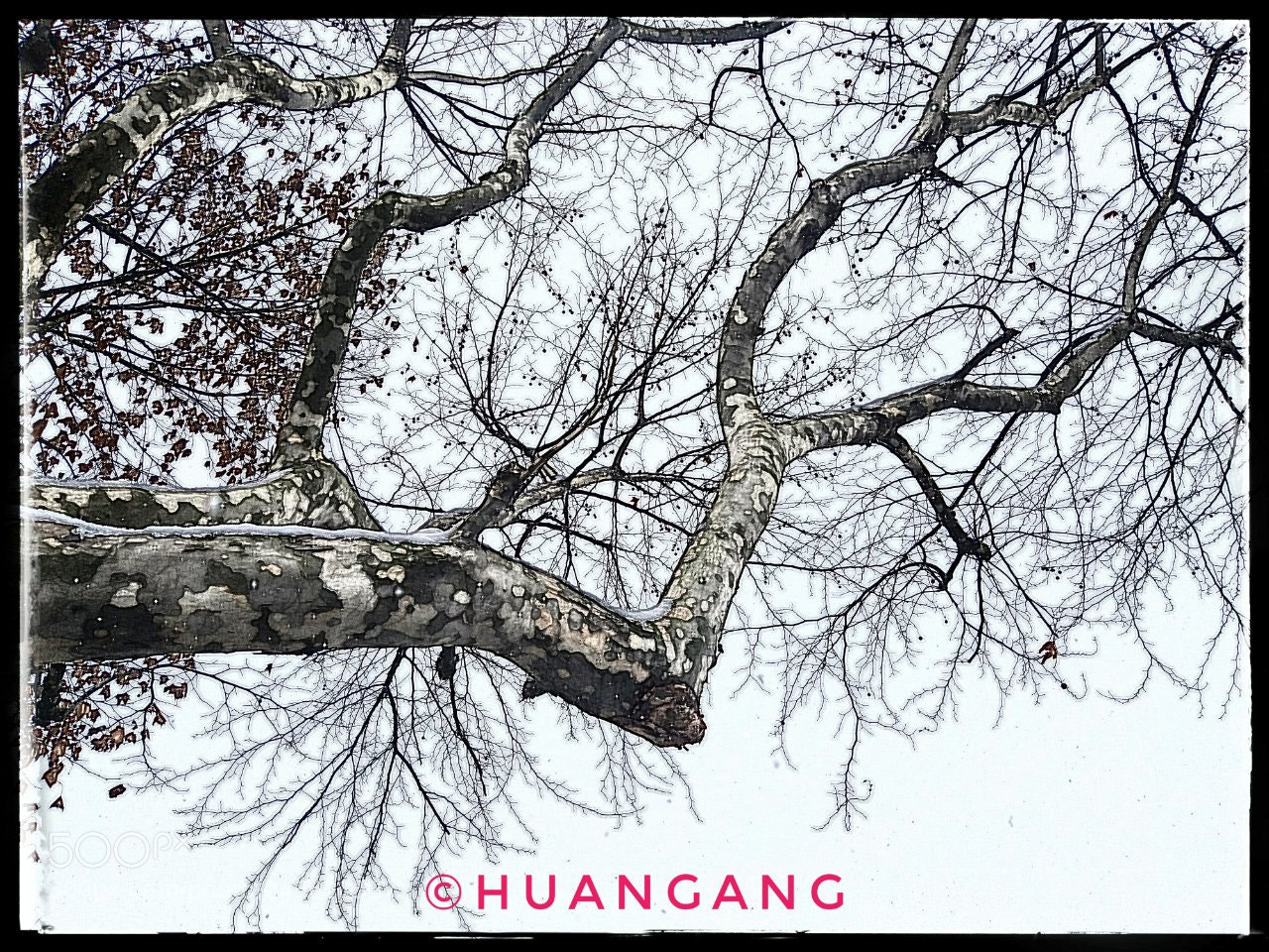 Xiaomi MI 5s sample photo. Untitled photography